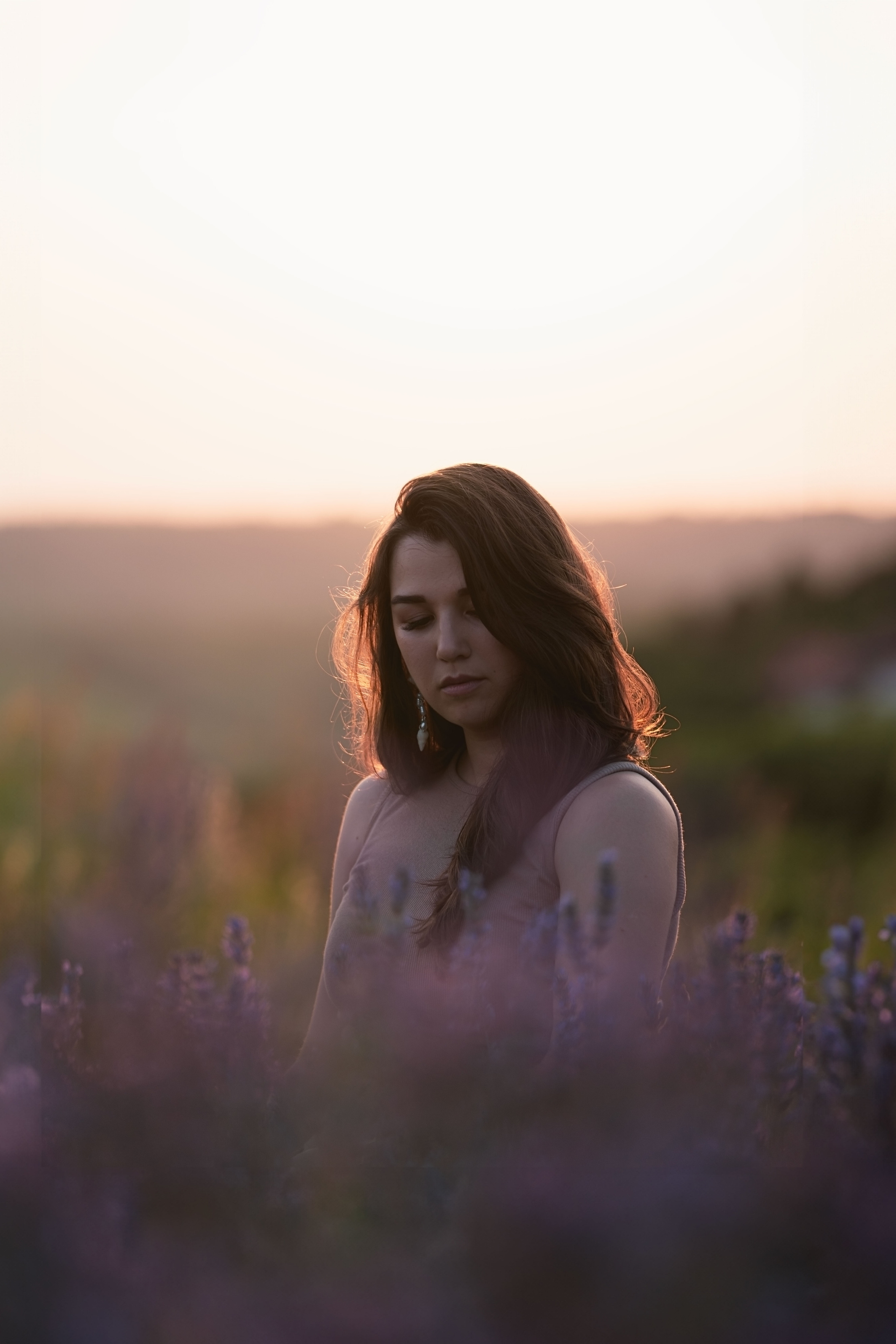 В лаванде. Фотограф анималист