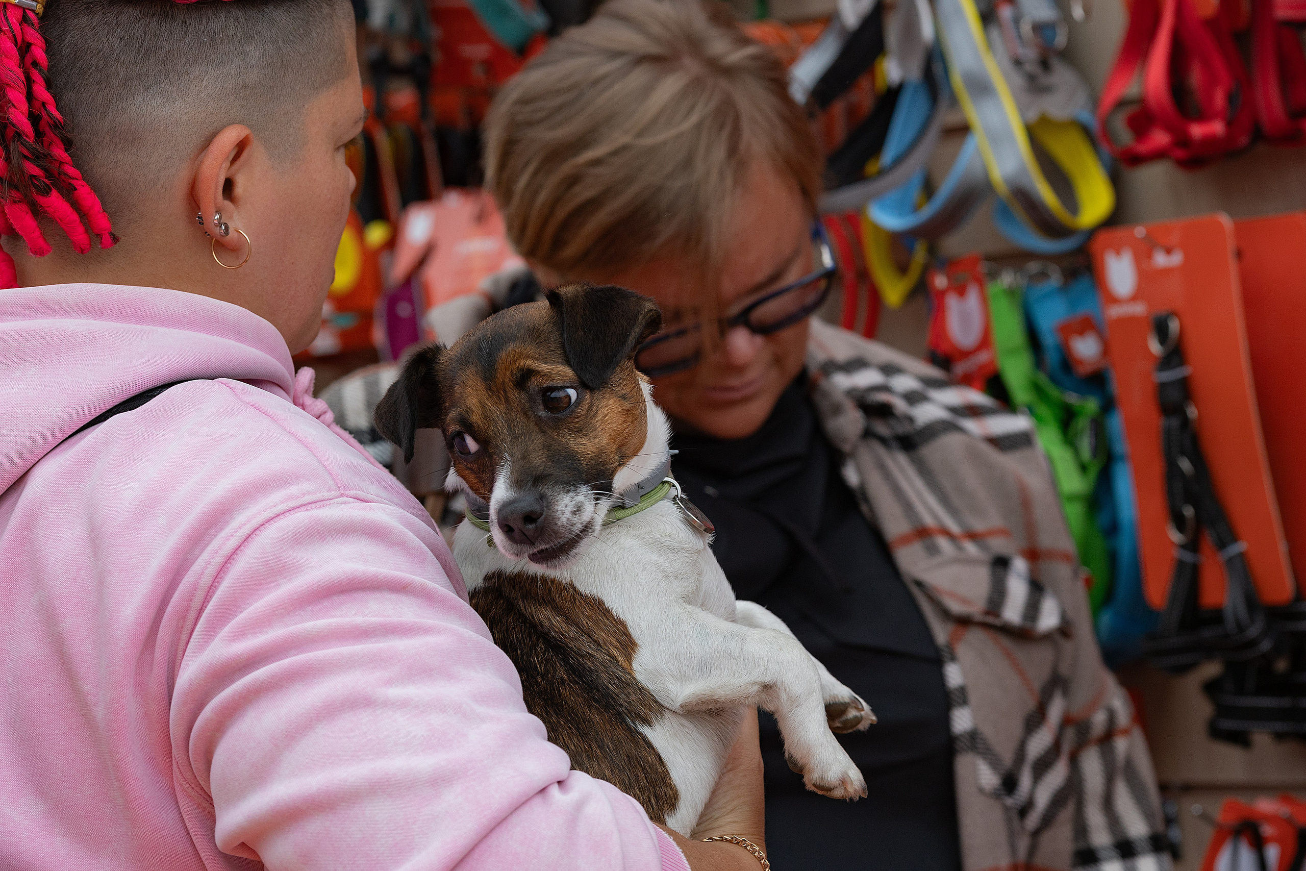 Petshop Days 2026. Репортажный фотограф