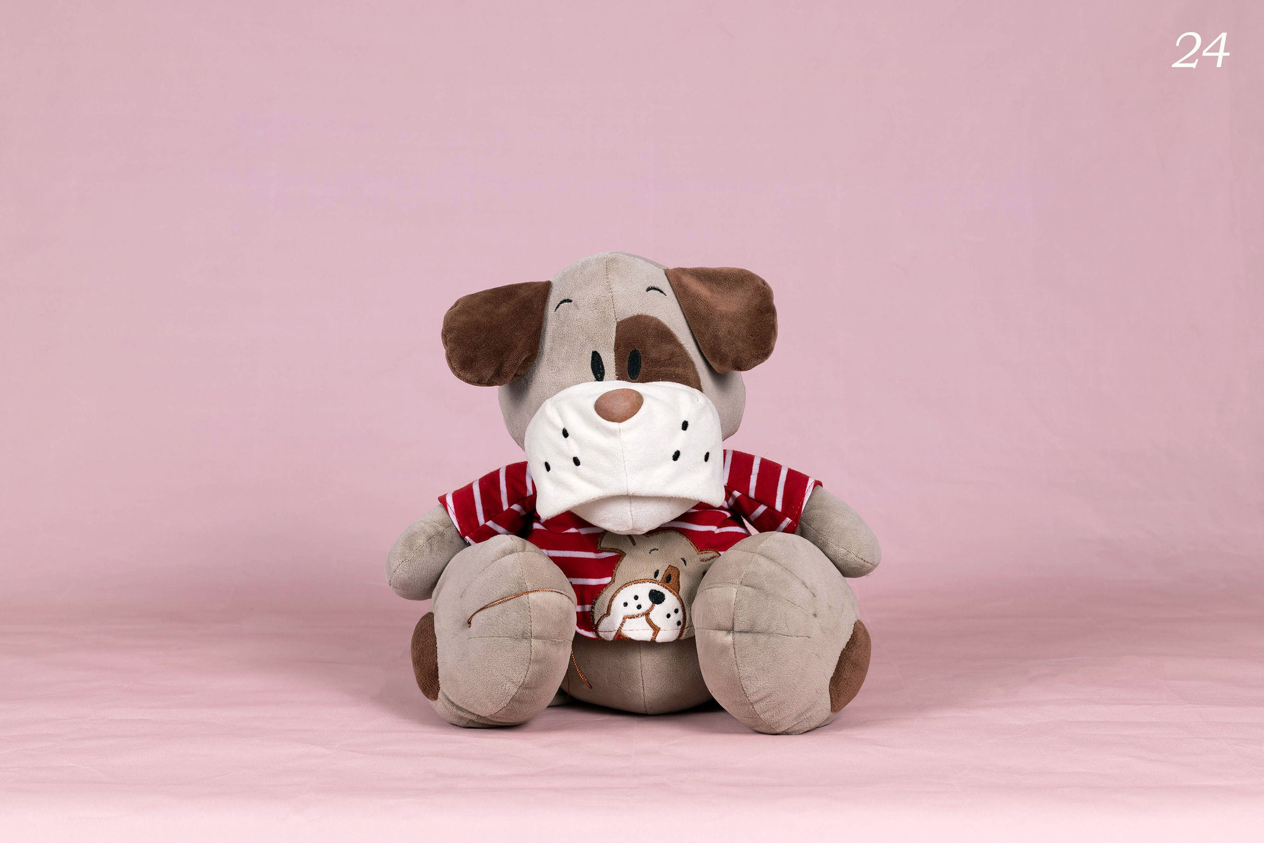 Фоны. Фотограф-анималист в Омске Екатерина Маричева