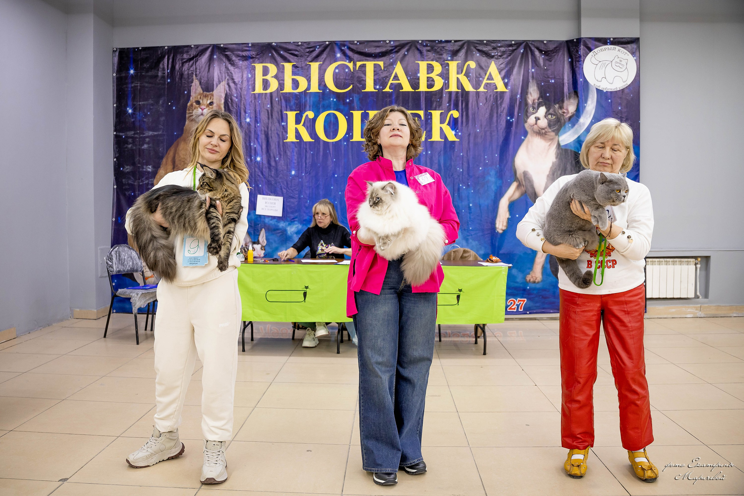 11–12 апреля — Интершоу — «Звездная Галактика Доброго Кота». Работаю со стендом. Фотограф-анималист в Омске Екатерина Маричева