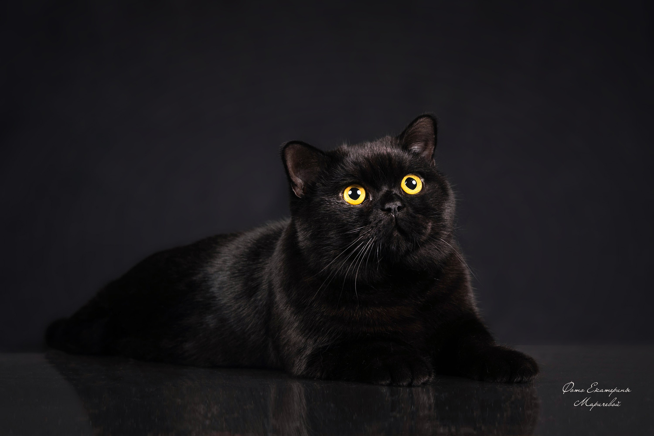 Чёрное на чёрном-это стильно