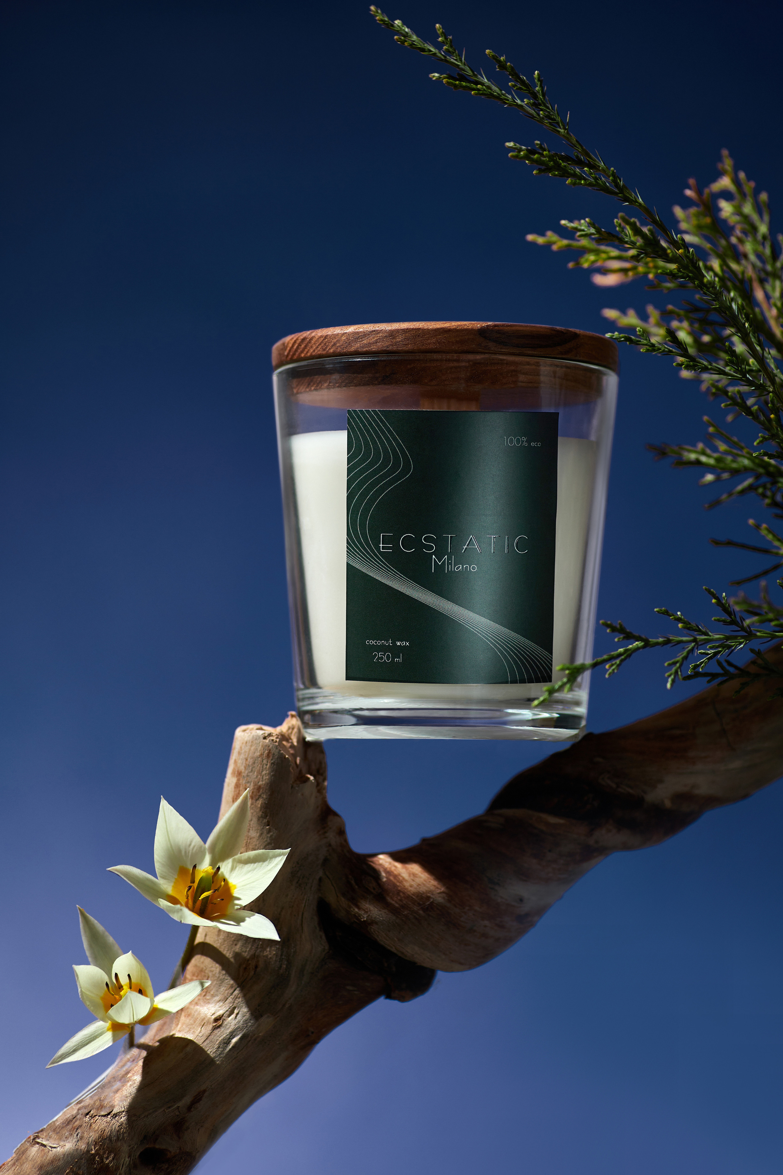 Свечи Ecstatic. Выведите свои товары на новый уровень с профессиональной предметной фотографией. Предметный фотограф Юлия Кравченко