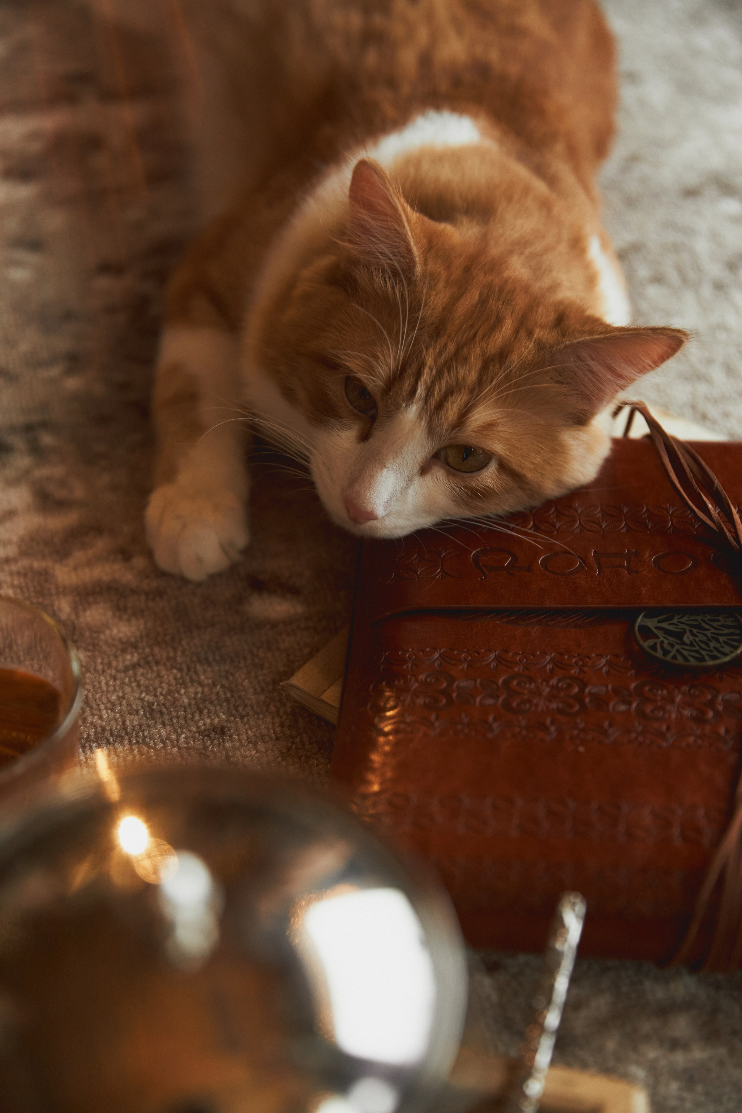 Мед и Дерево. Семейный и свадебный фотограф Лилия Матонина | Ангарск, Иркутск, Усолье-Сибирское, Байкал (Листвянка, Ольхон), Иркутская область