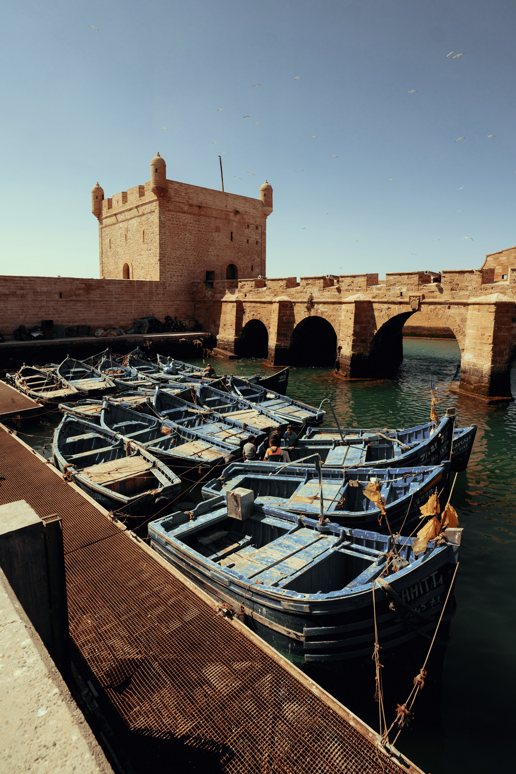 Северная Африка: Тунис, Марокко. Фотограф в Хабаровске. Фотография за 24 часа