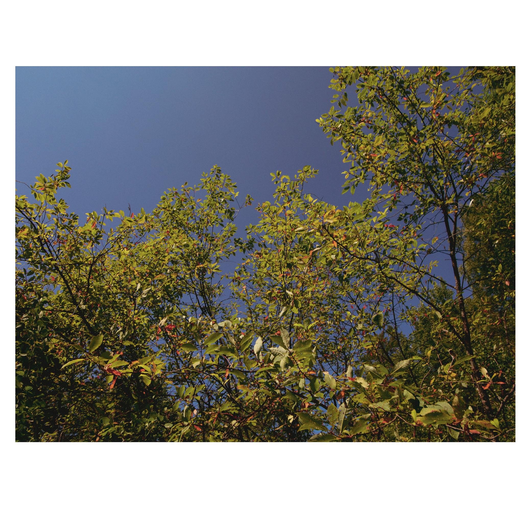 Summer hike. Фотограф/дизайнер в Екатеринбурге Хитрый Дмитрий