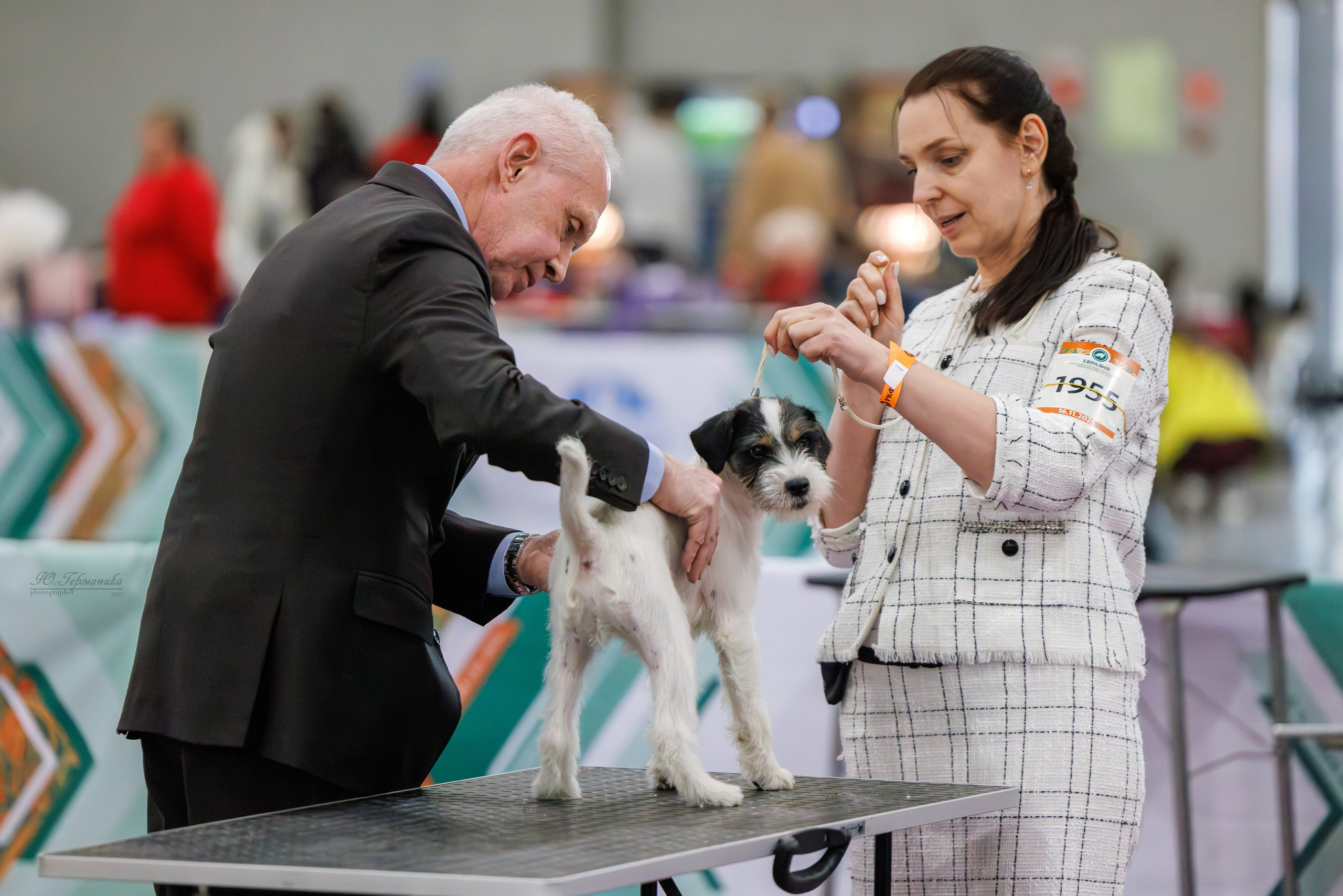 Евразия 15-16.11.2025. Фотограф-анималист Юлия Германика