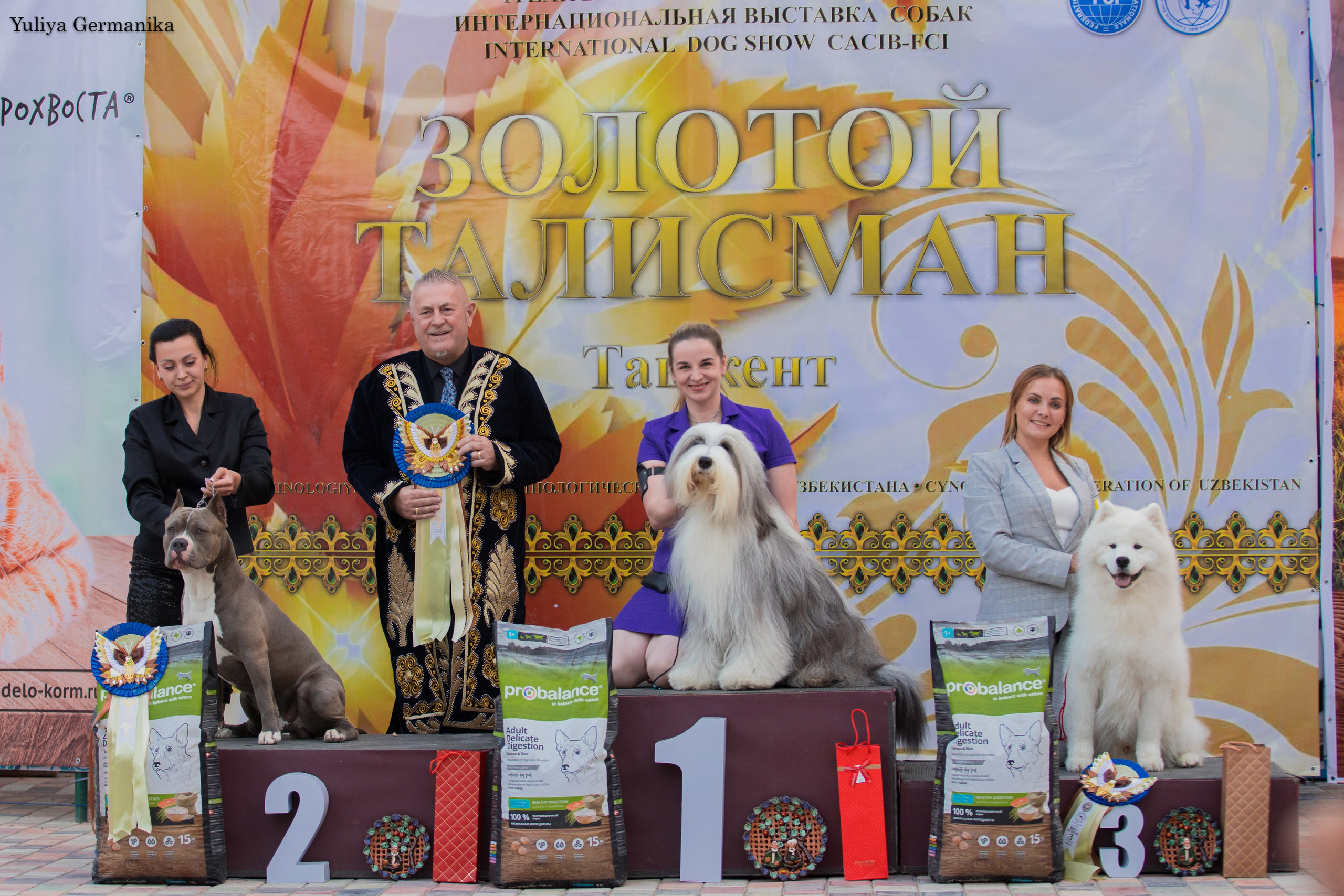 Ташкент 6-8.10.2023 + Алматы 14-15.10.2023. Фотограф-анималист Юлия Германика