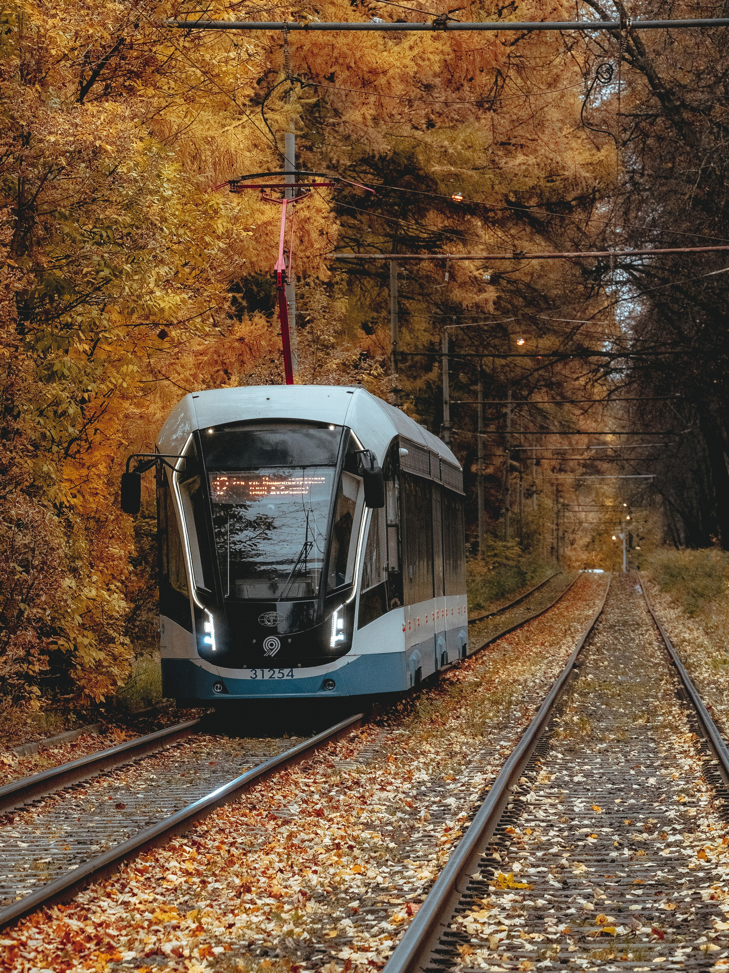 Городской пейзаж. Эд Тихонов. Городской фотограф