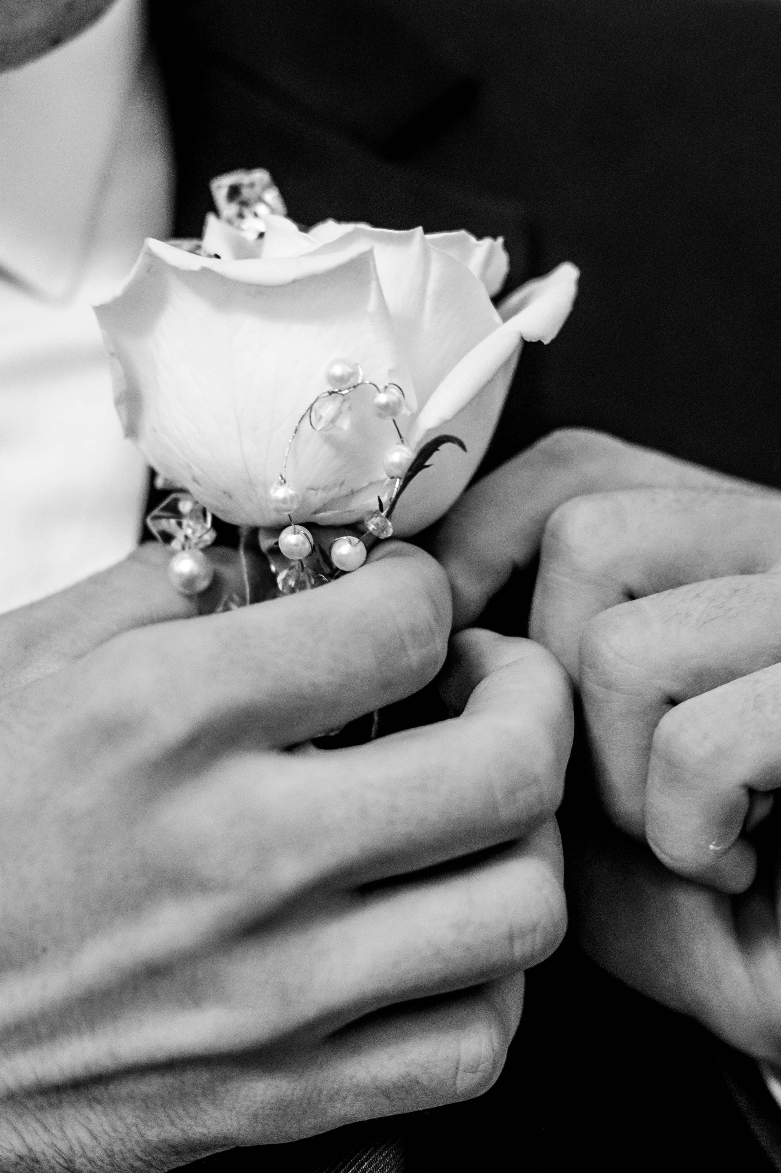 Дарина и Рома. Фотограф в Санкт-Петербурге Ибрагимова Алина