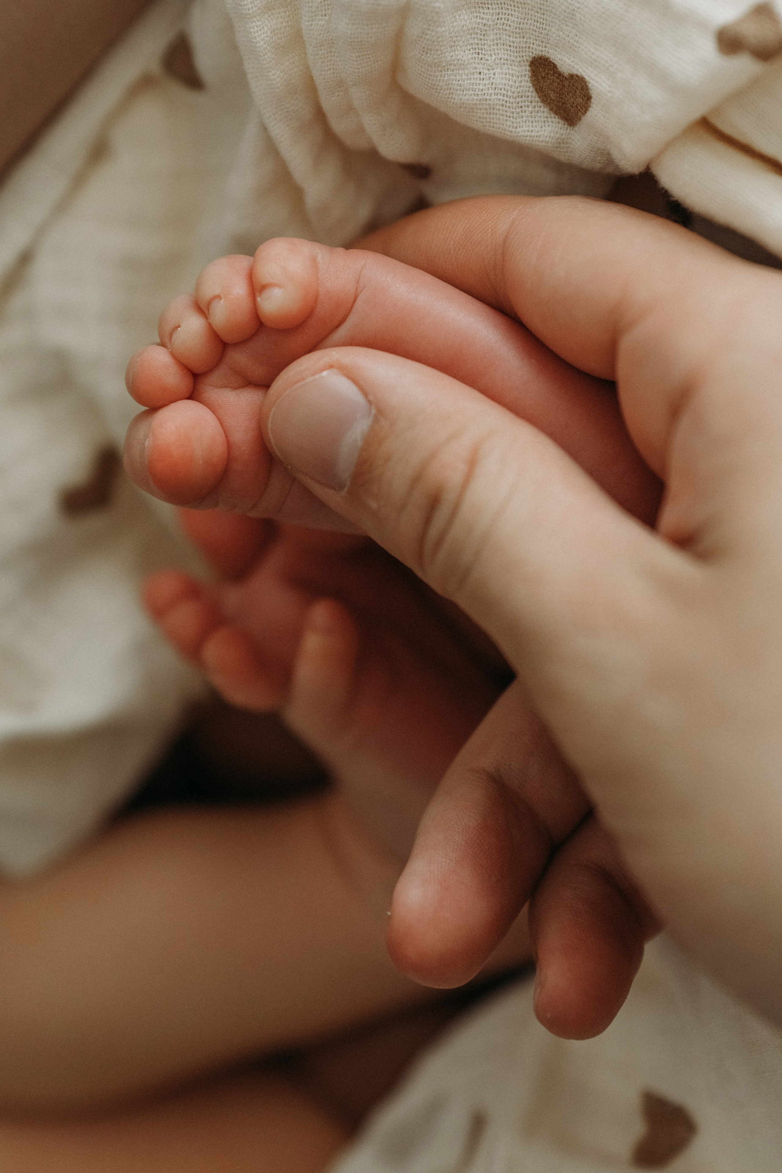 Макару 14 дней. Семейный фотограф в Санкт-Петербурге — Наташа Тарасенко