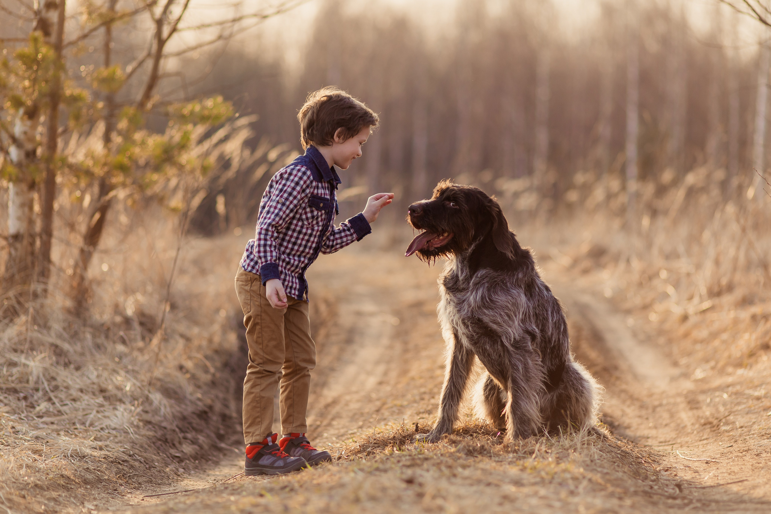 Hundeshooting / Hundefotografie. Fotografin in München Dasha Antipina