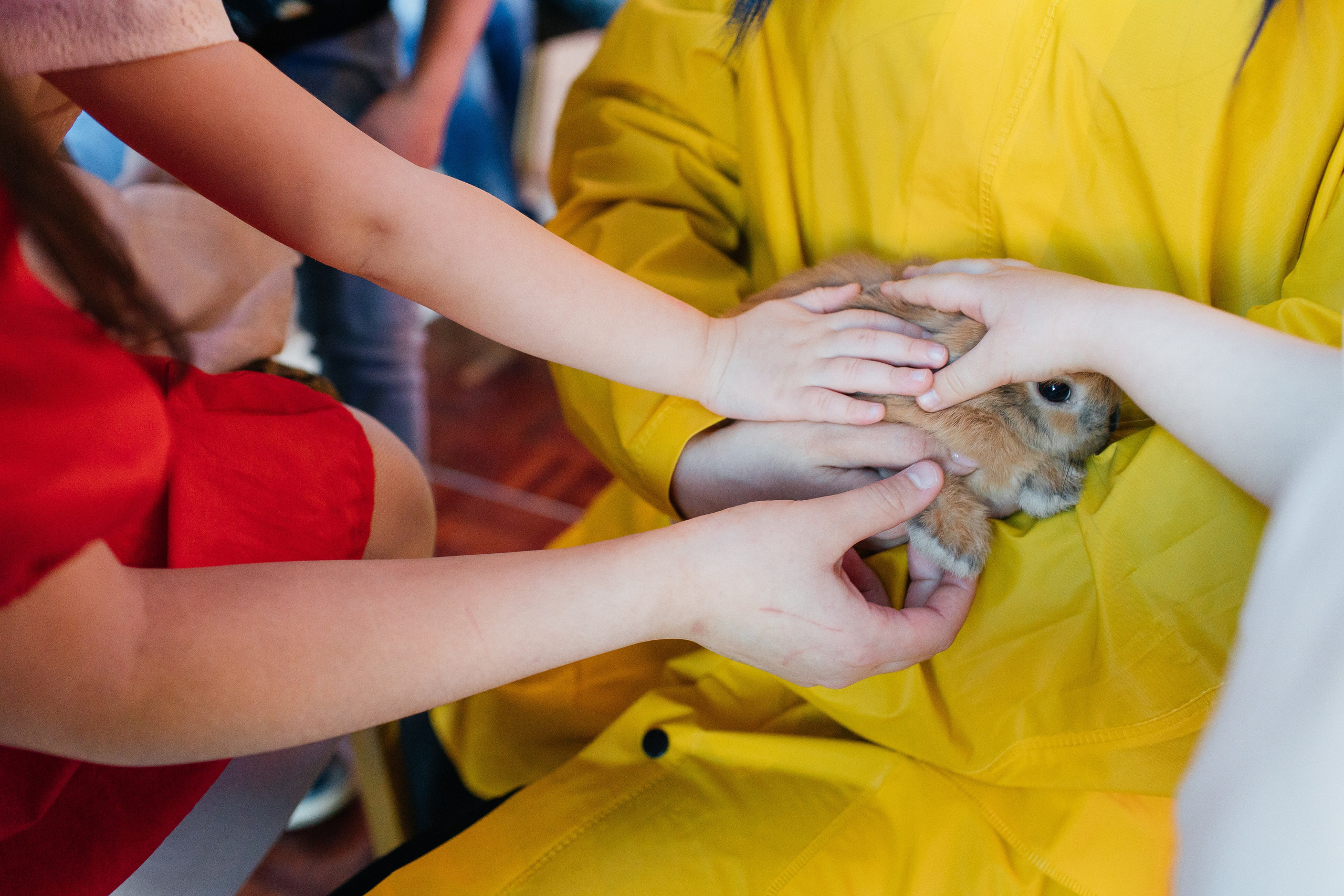 Марусе 9 лет. Свадебный и семейный фотограф