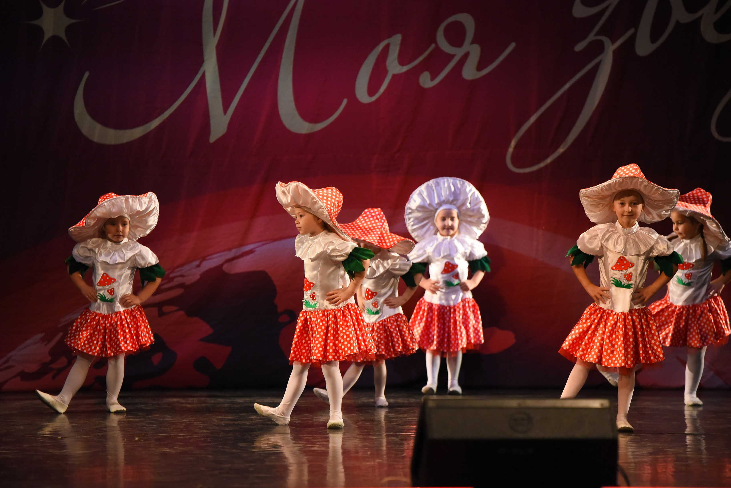 13 декабря, г. Калининград. Золотое яблочко