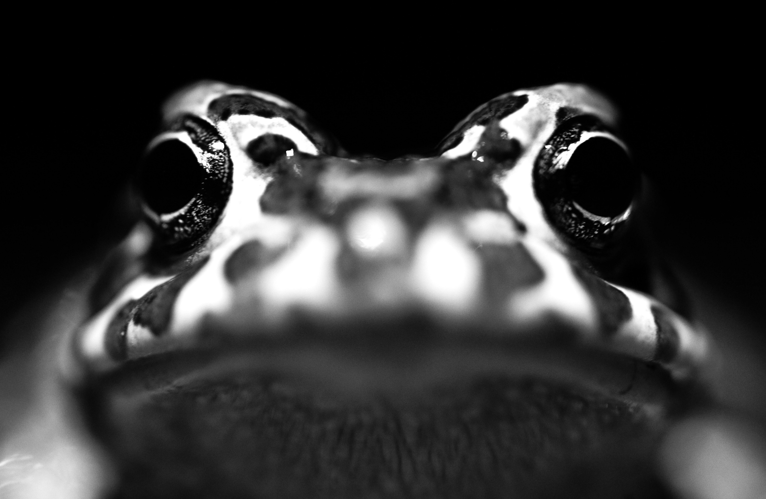 Природа. Глеб Захаренко — спортивный и репортажный фотограф в Крыму