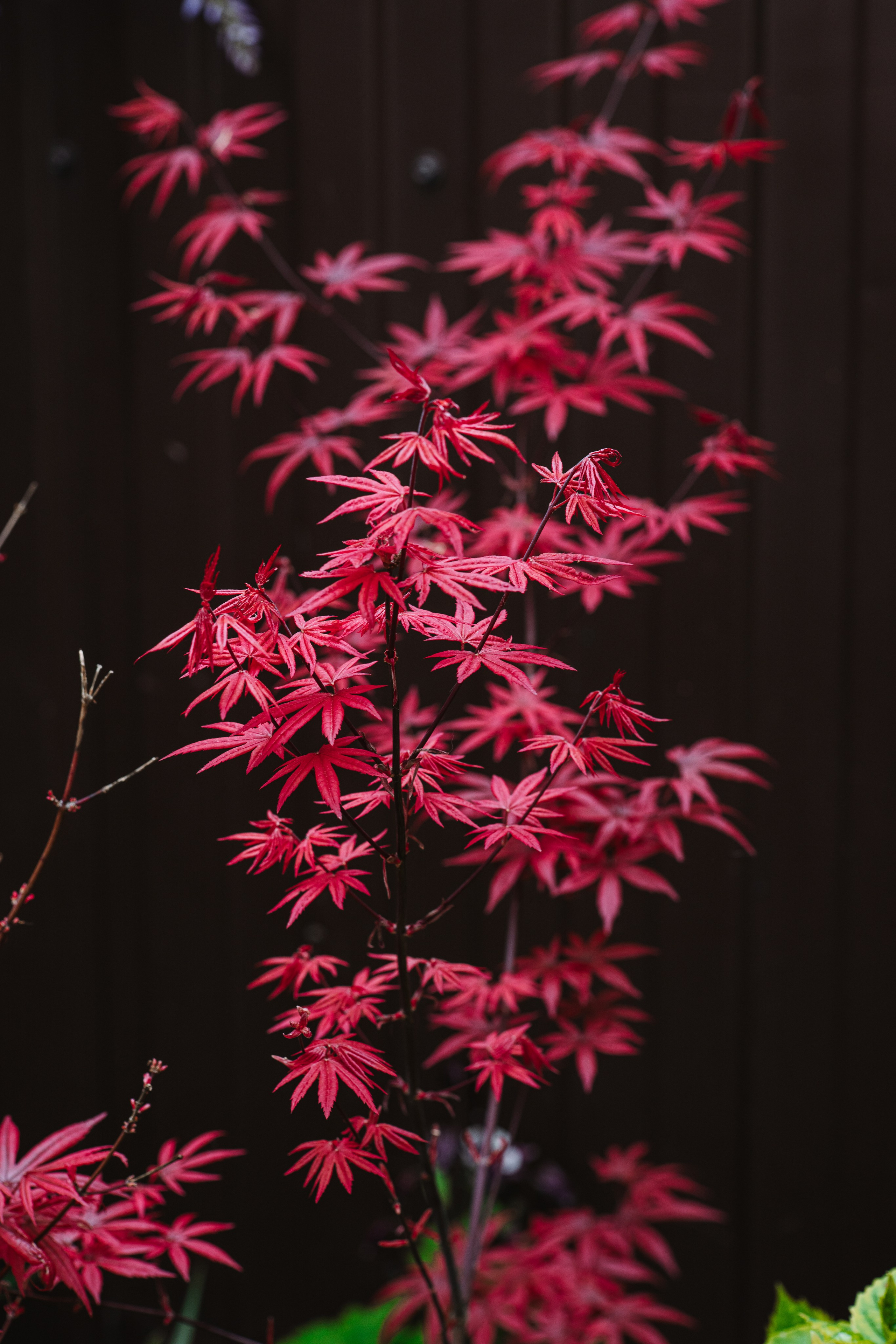 Macro. Фотограф на Юге России