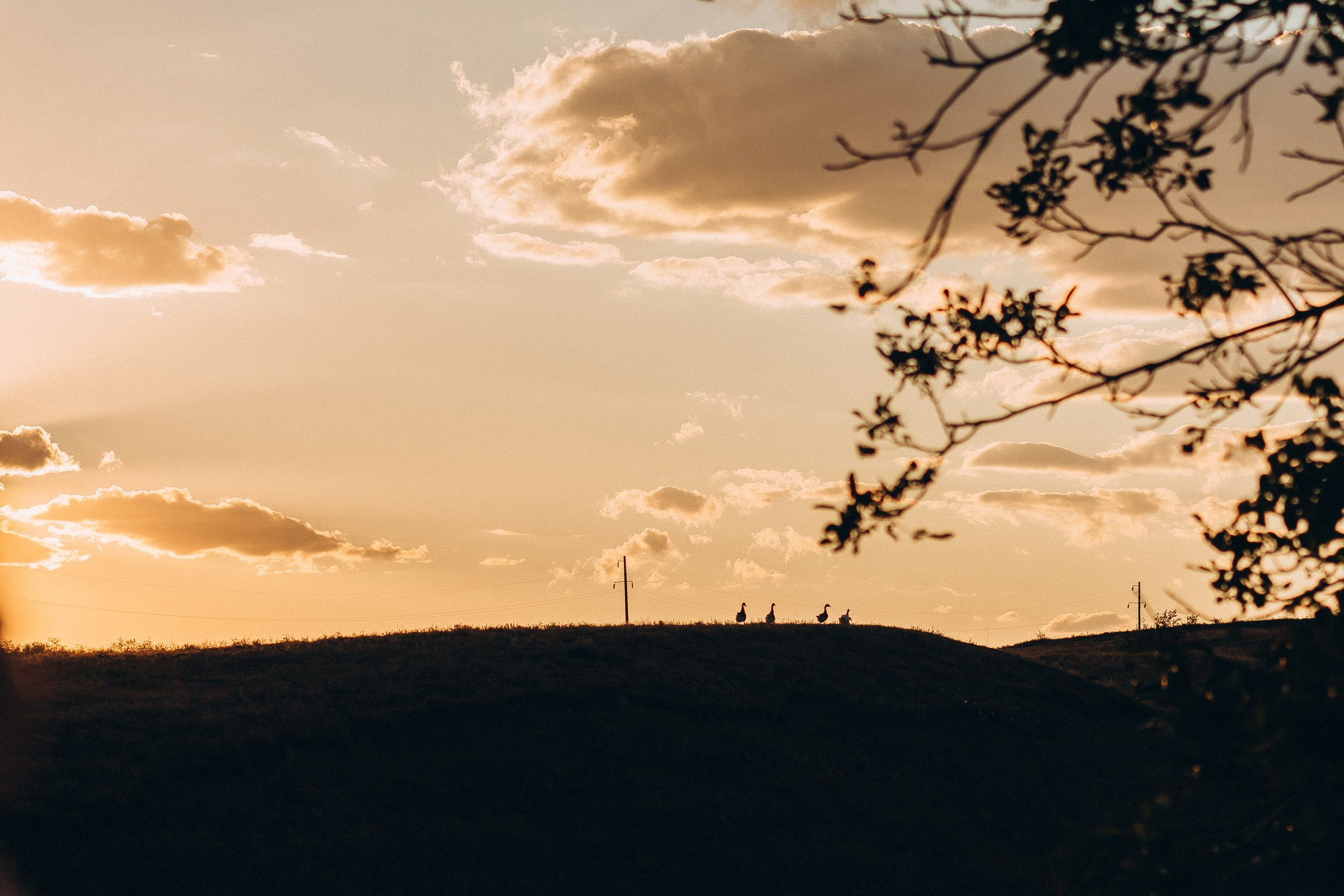 Семейная фотосессия. Семейный фотограф в Волгодонске Краченцева Анна