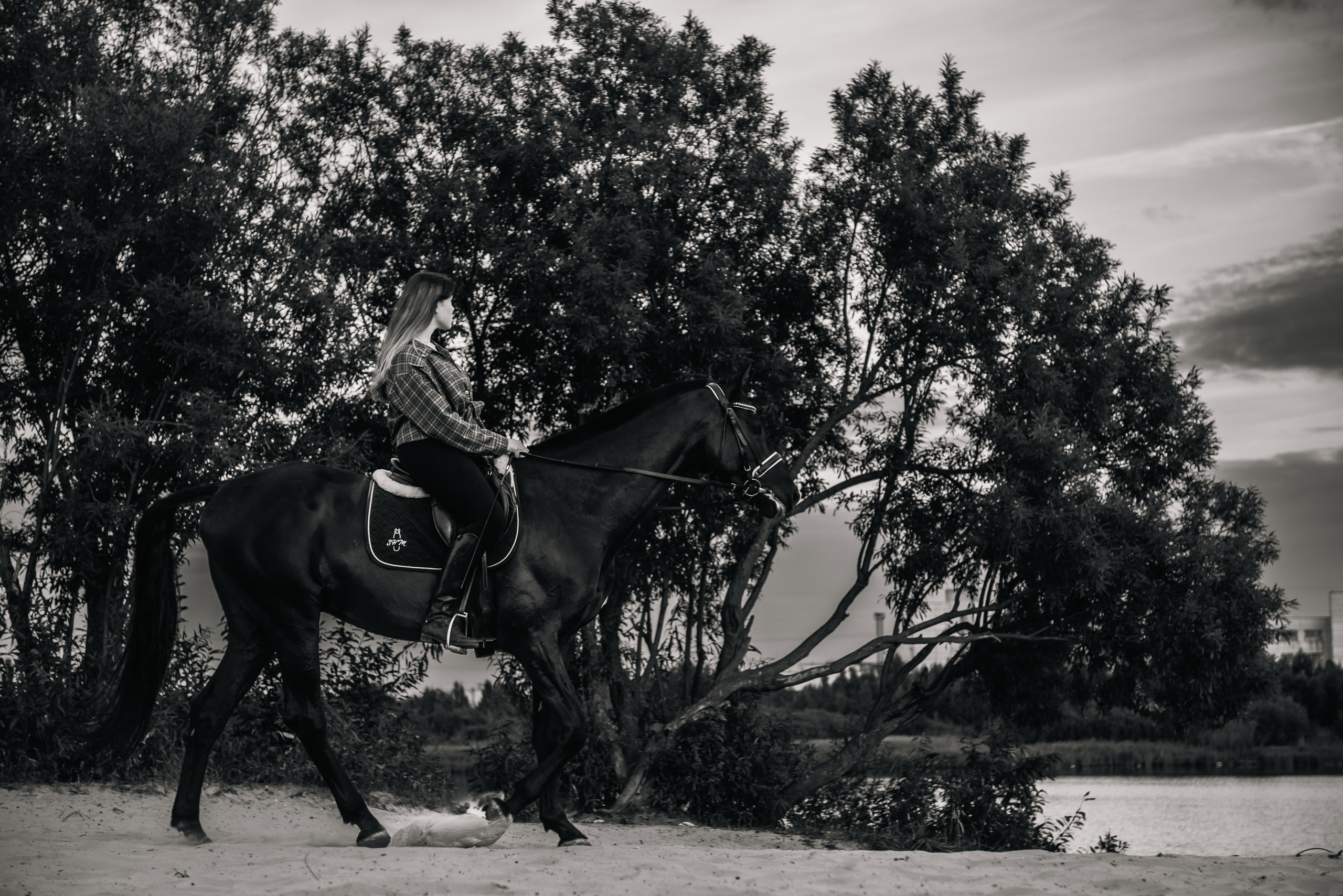 Конная фотосессия