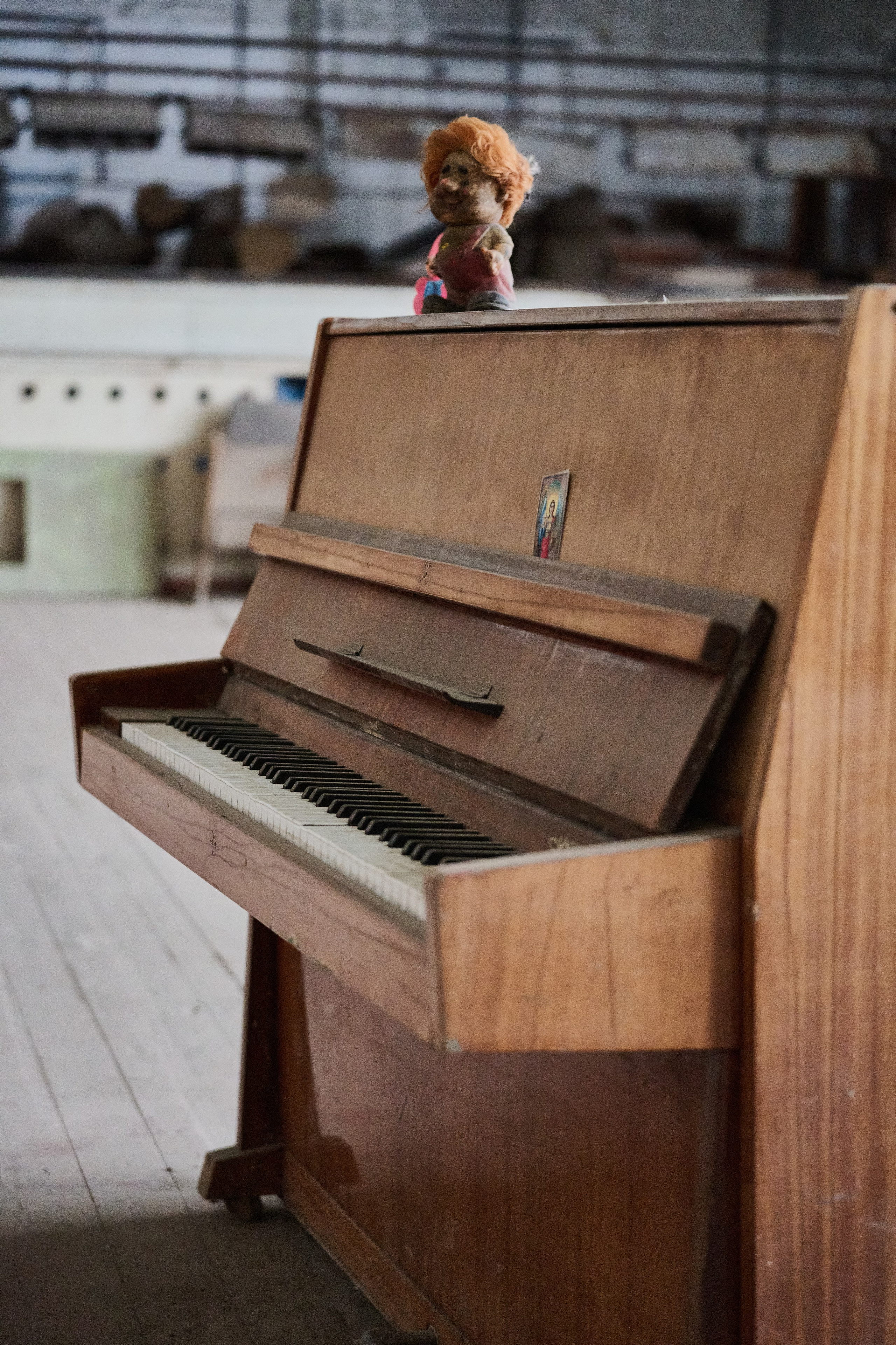 Краснореченское (Луганская область). Ноябрь 2024. Фотограф Роман Адлер