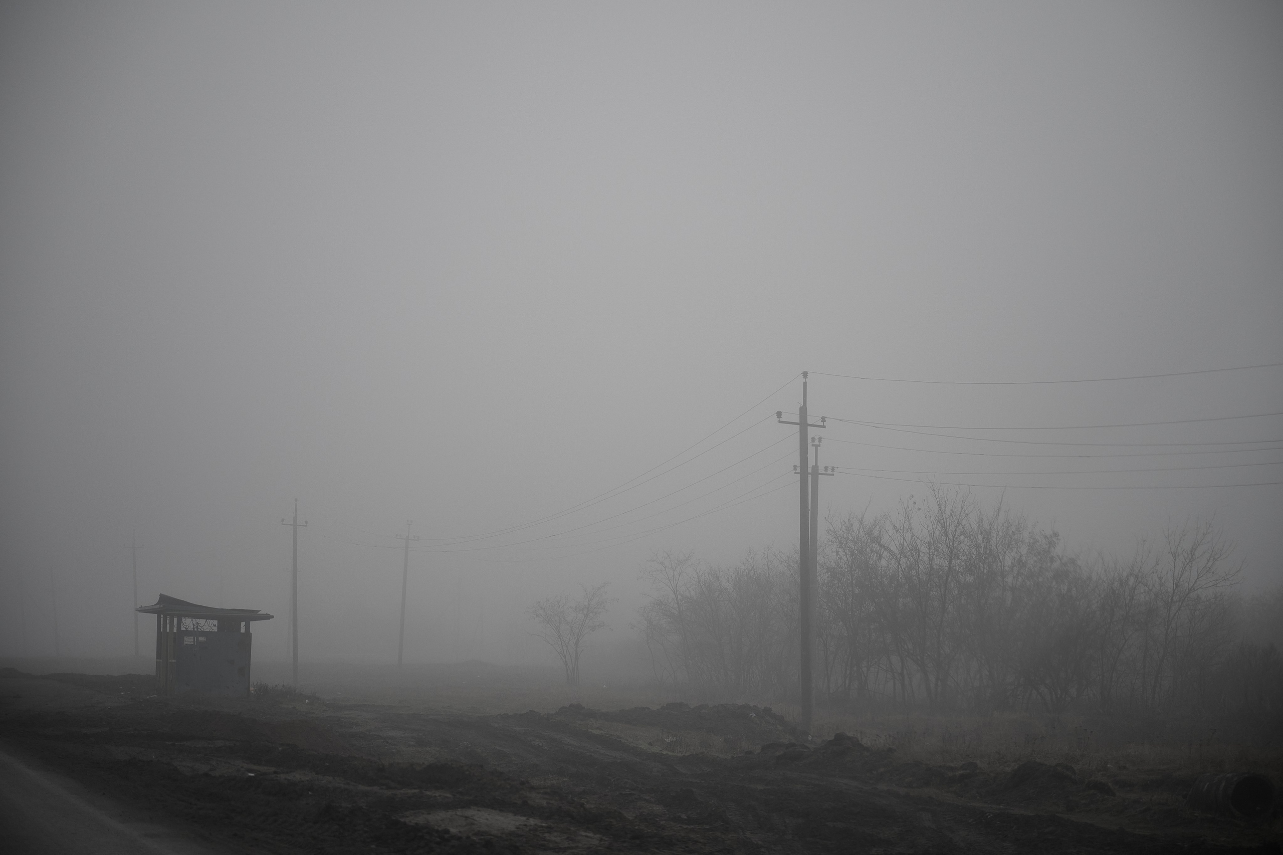 Дорога домой. Туман. Фотограф Роман Адлер