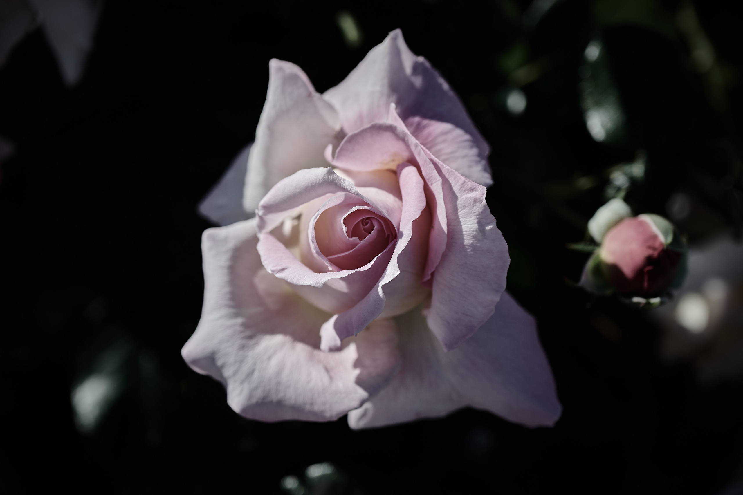 Музейный комплекс 1418 шагов к Победе. Фотограф Роман Адлер