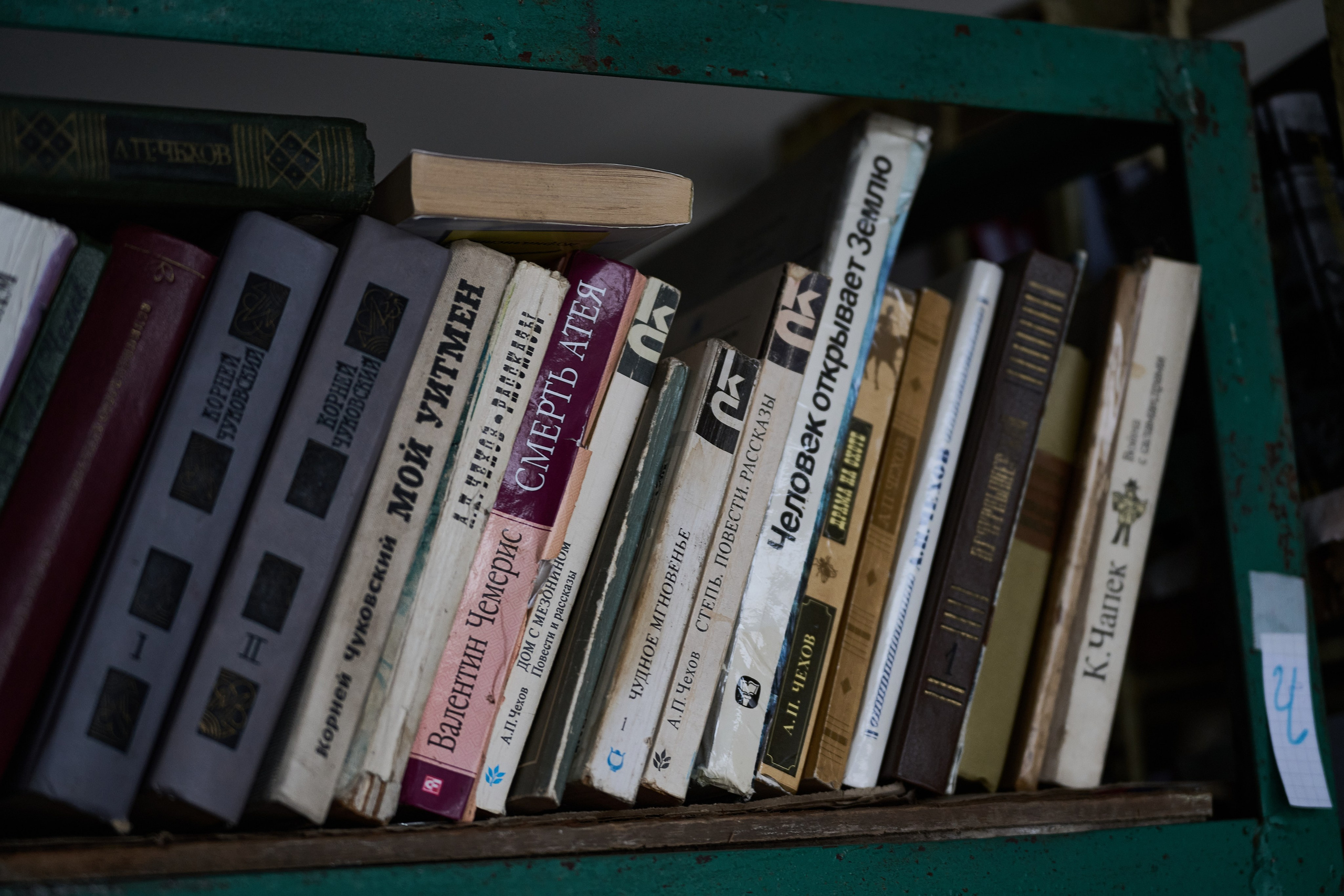 Краснореченское (Луганская область). Ноябрь 2024. Фотограф Роман Адлер