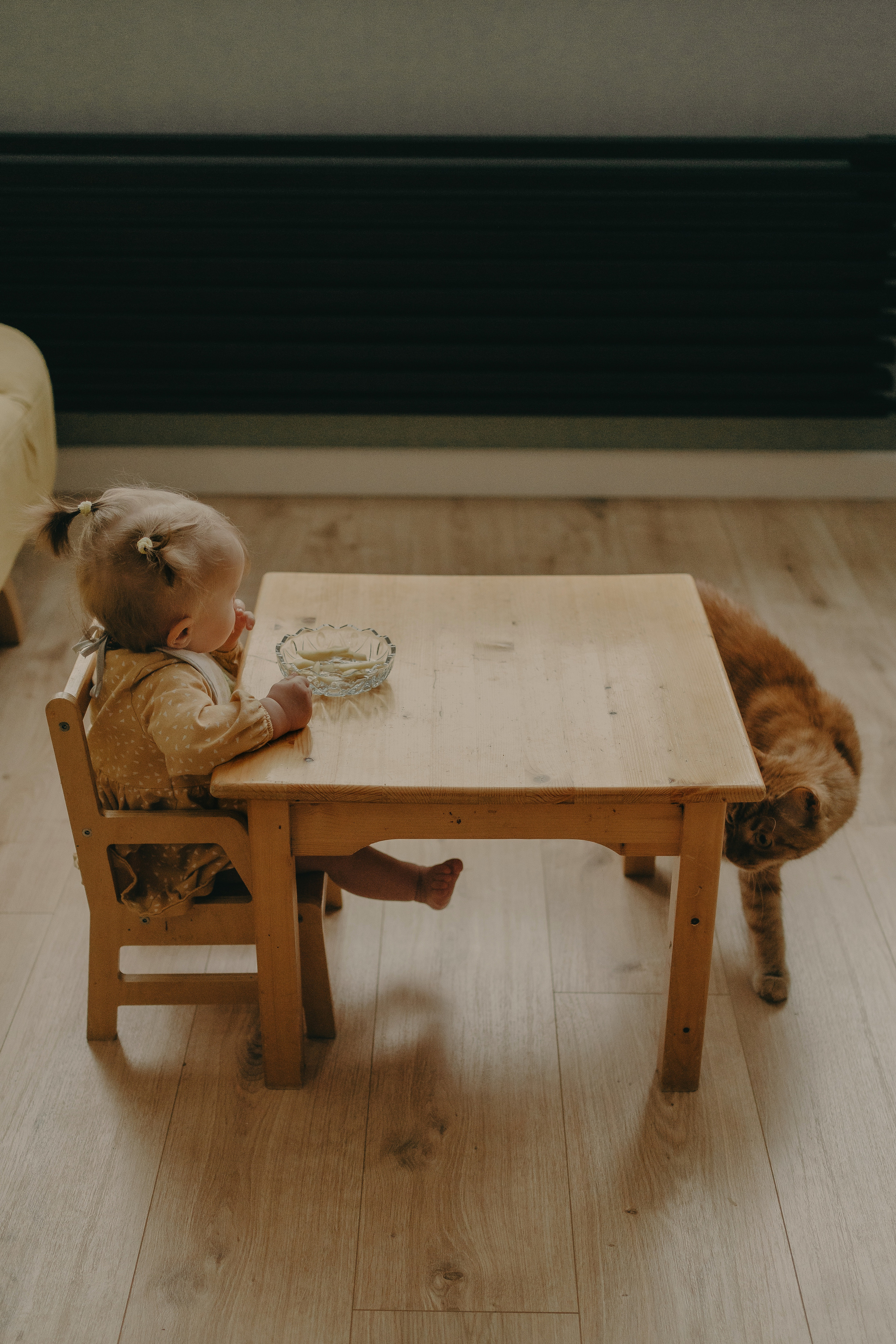 Домашние истории. Семейный фотограф в Москве Кристина Кручинина