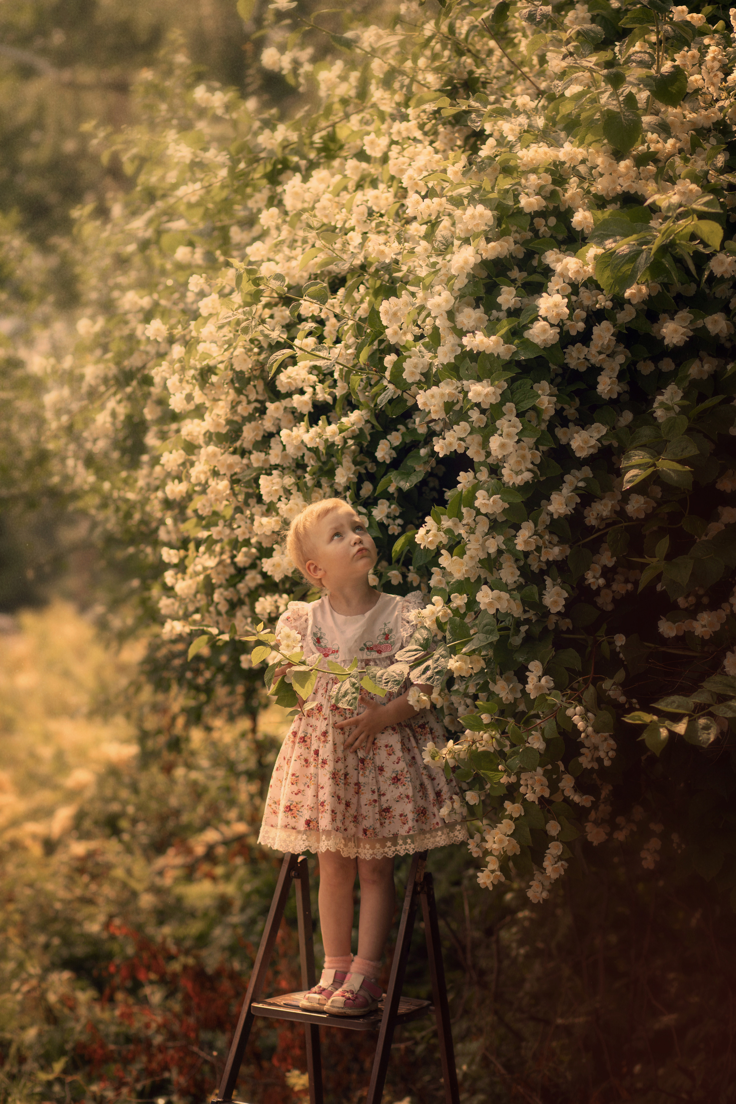 Семейная фотосессия. Фотограф Наталья Яковлева, Санкт-Петербург. Семьи, ньюборн, крещения