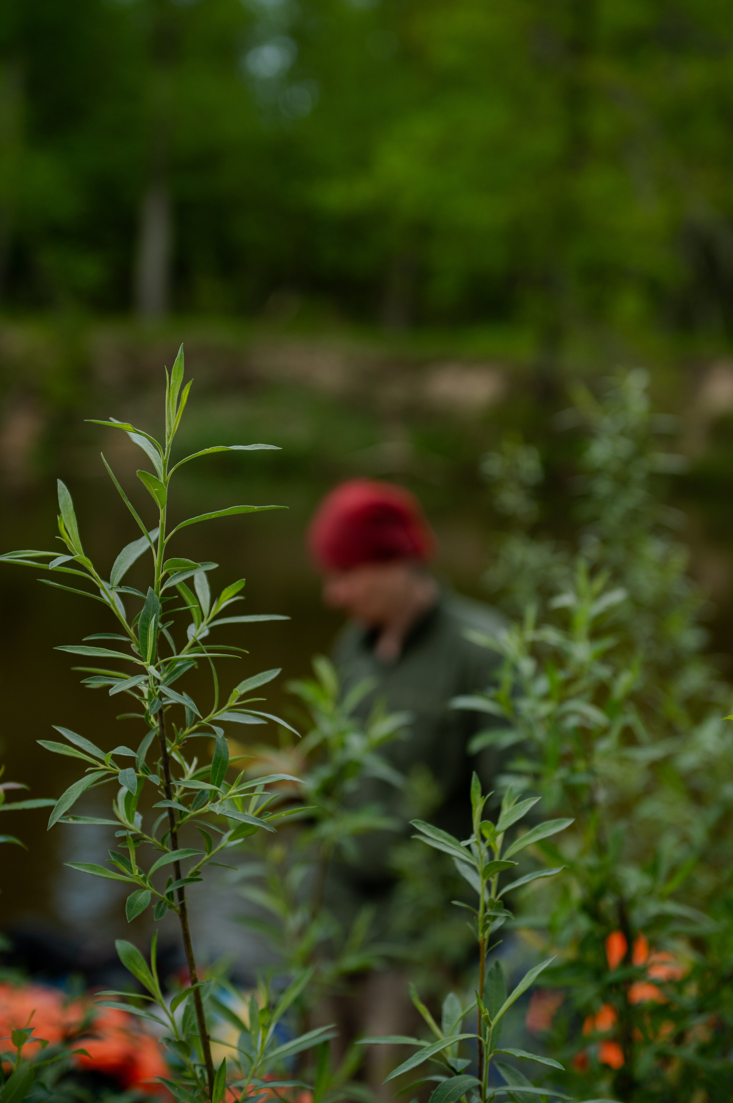RIVER RAFTING. Свадебный и портретный фотограф в Казани