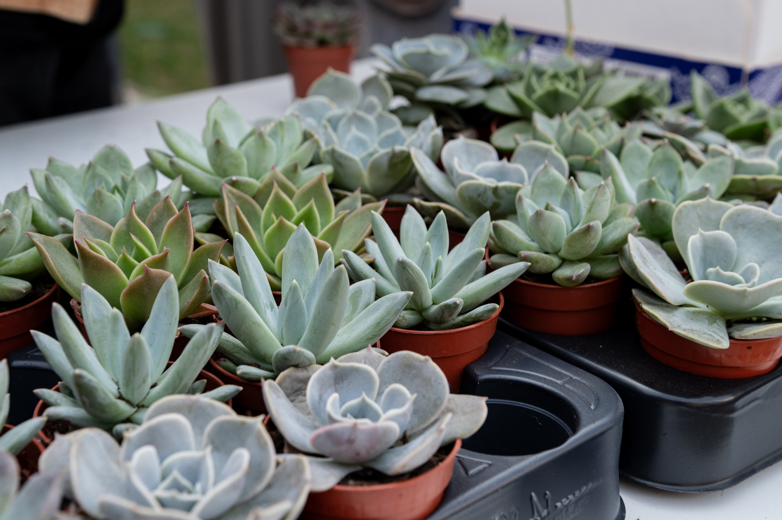 UNICSHOOL. Свадебный и портретный фотограф в Казани