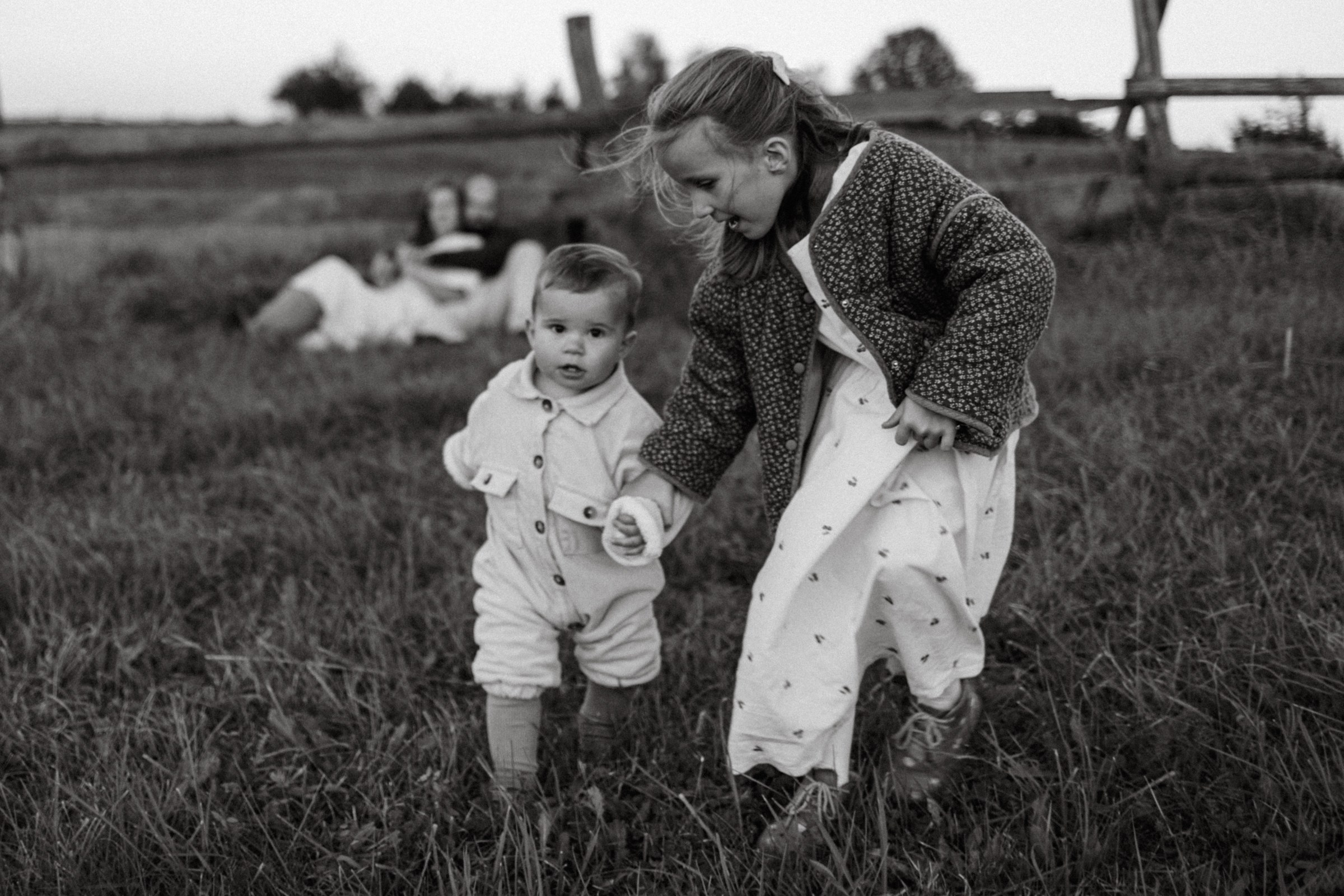 Дружелюбная овечка. Фотограф Daria Wilner