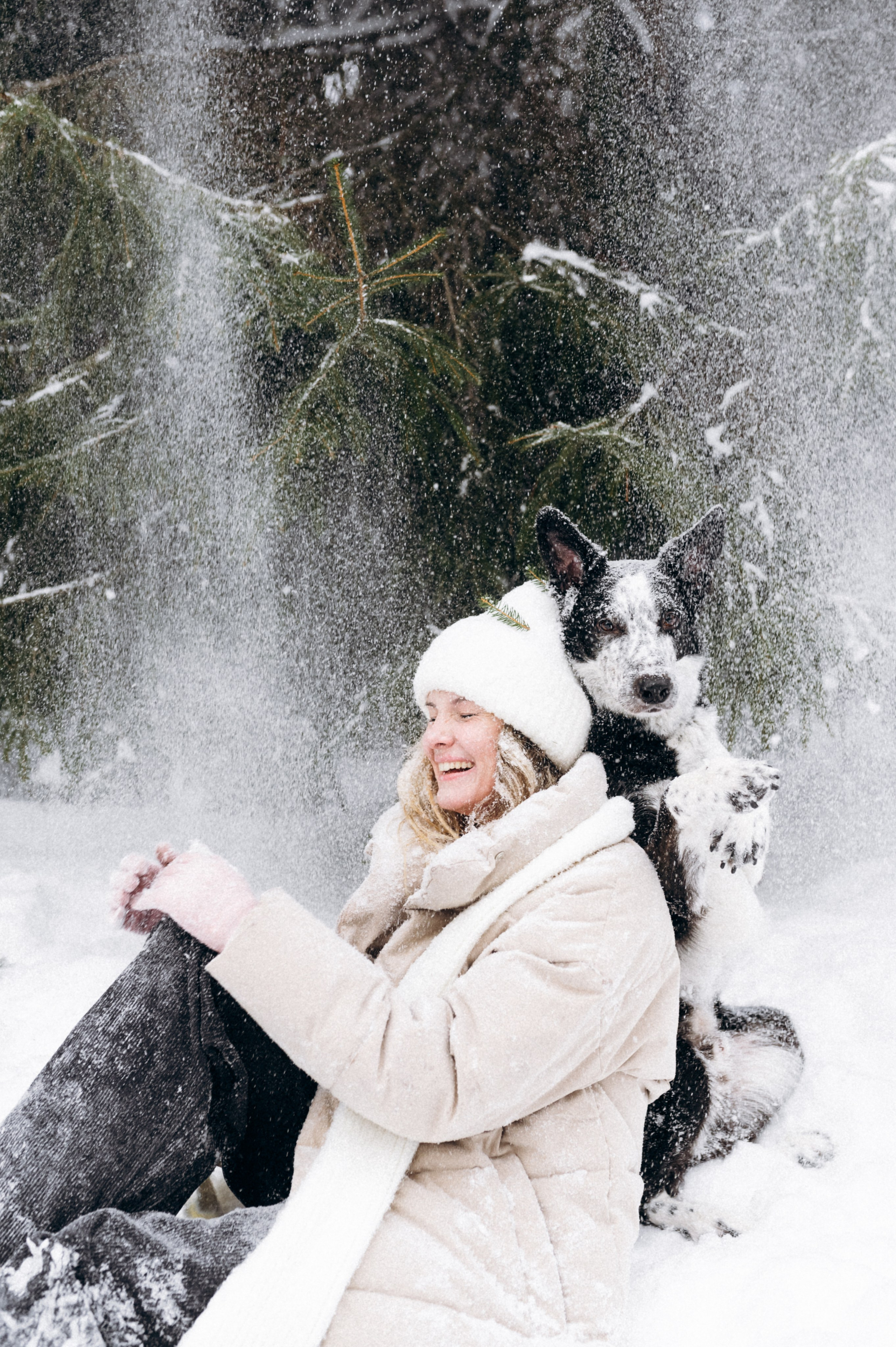 Аня и Милан. Фотограф анималист в Москве Ольга Агушева