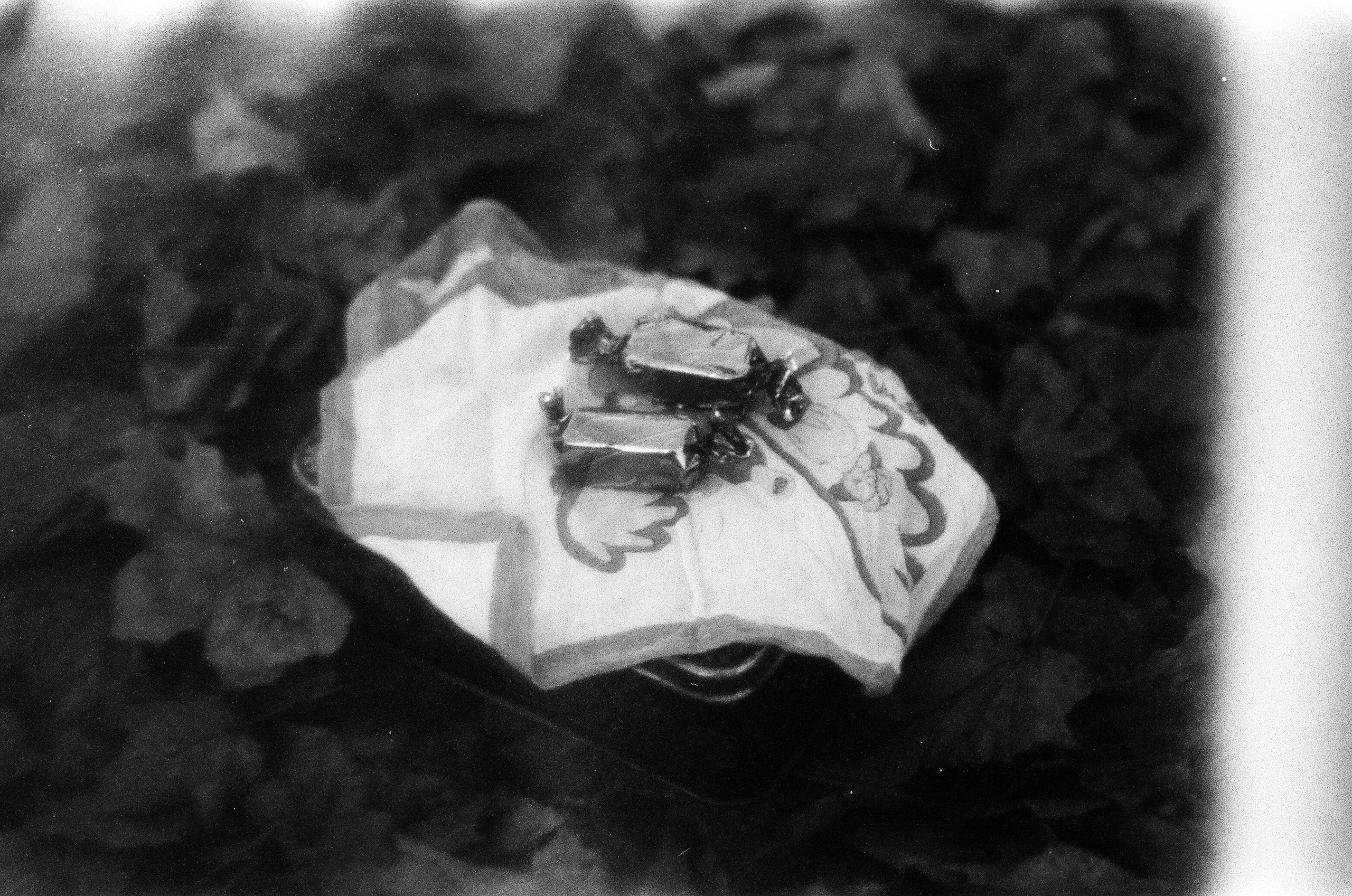 Плёнка 35/120мм. Katya Medvedeva