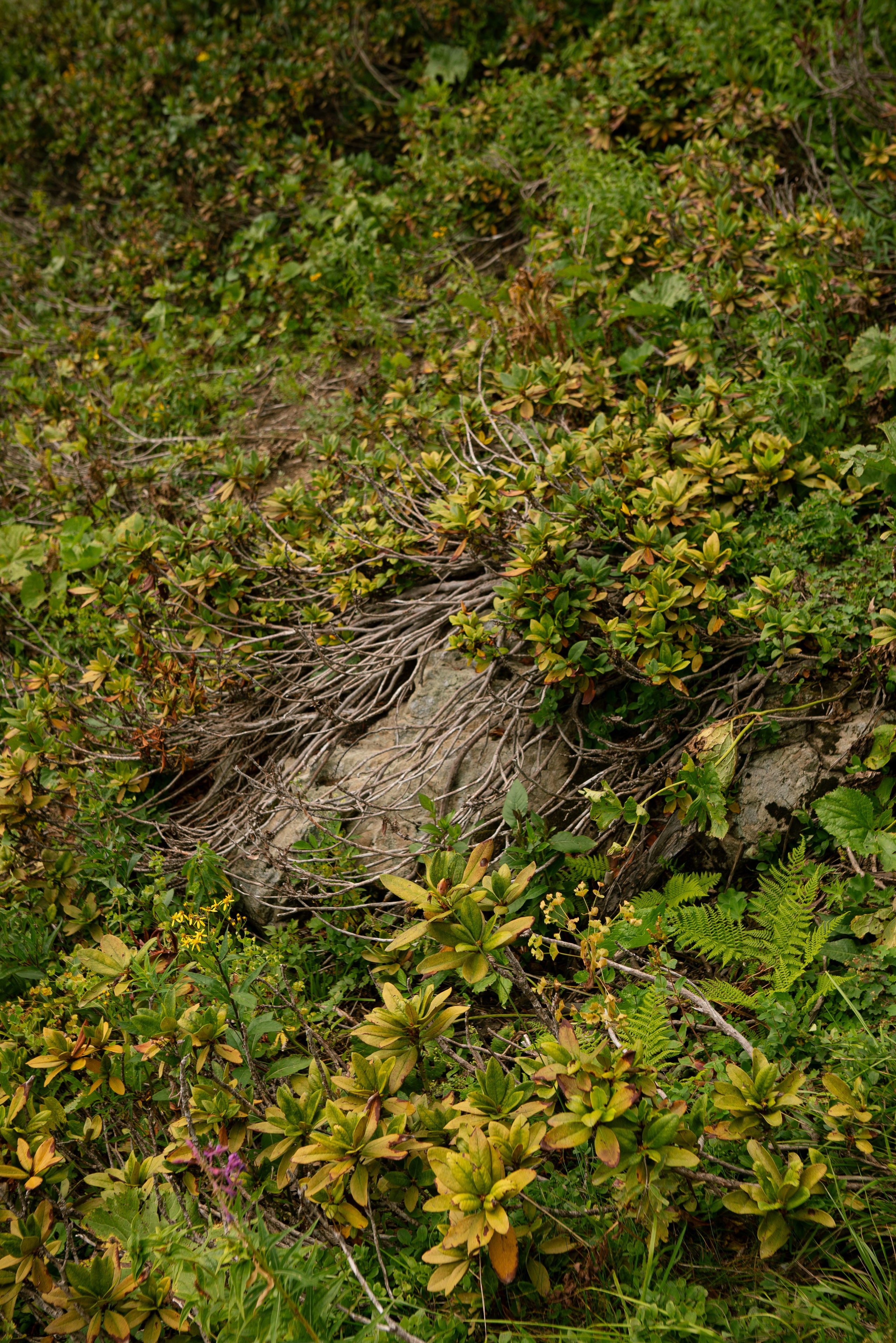 Милость гор. Портфолио фотографа Анастасии Блохиной