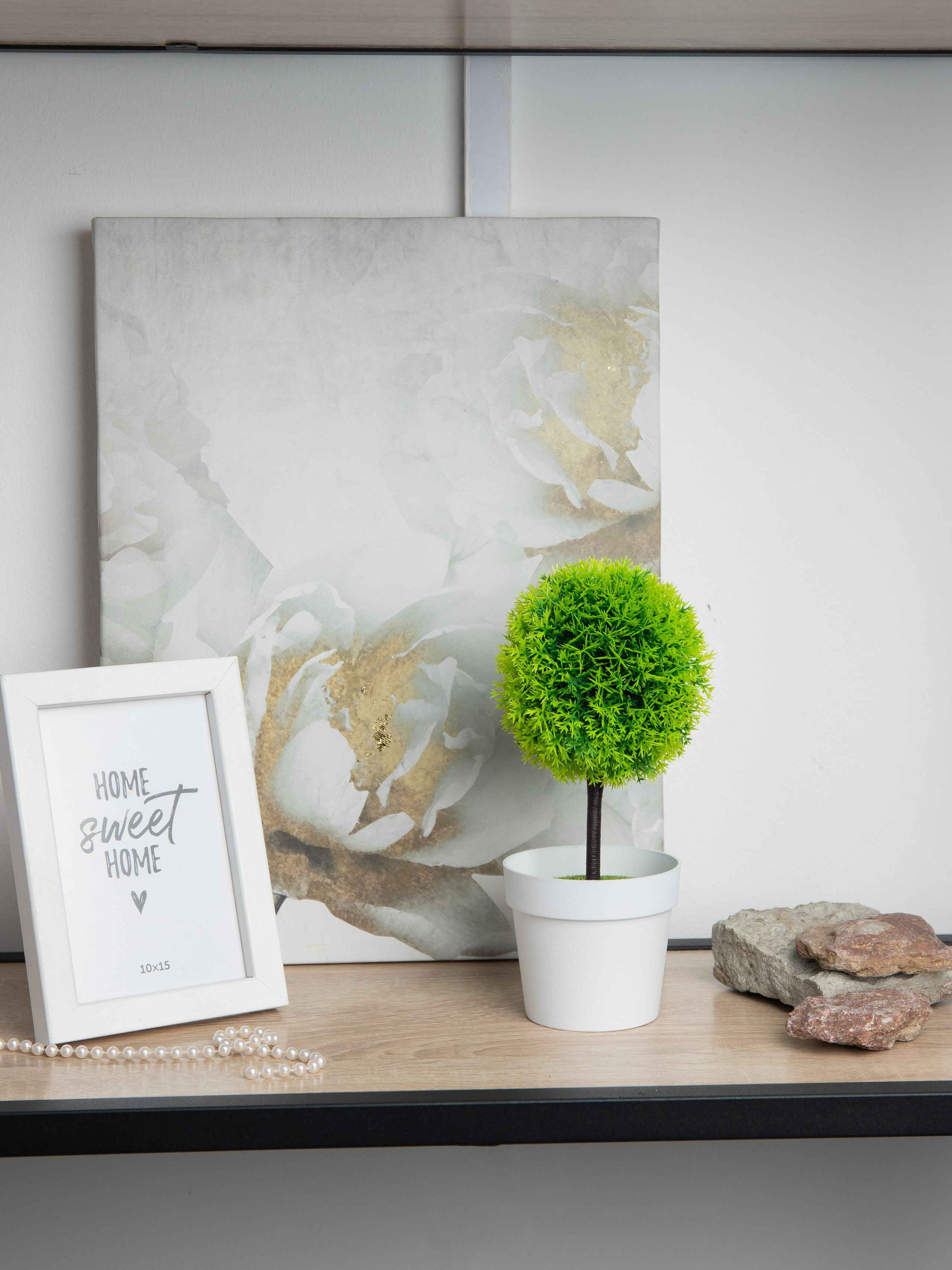 Декоративные деревья. Коммерческий фотограф в Санкт-Петербурге (СПб) Екатерина Панчёха, Панчёшка