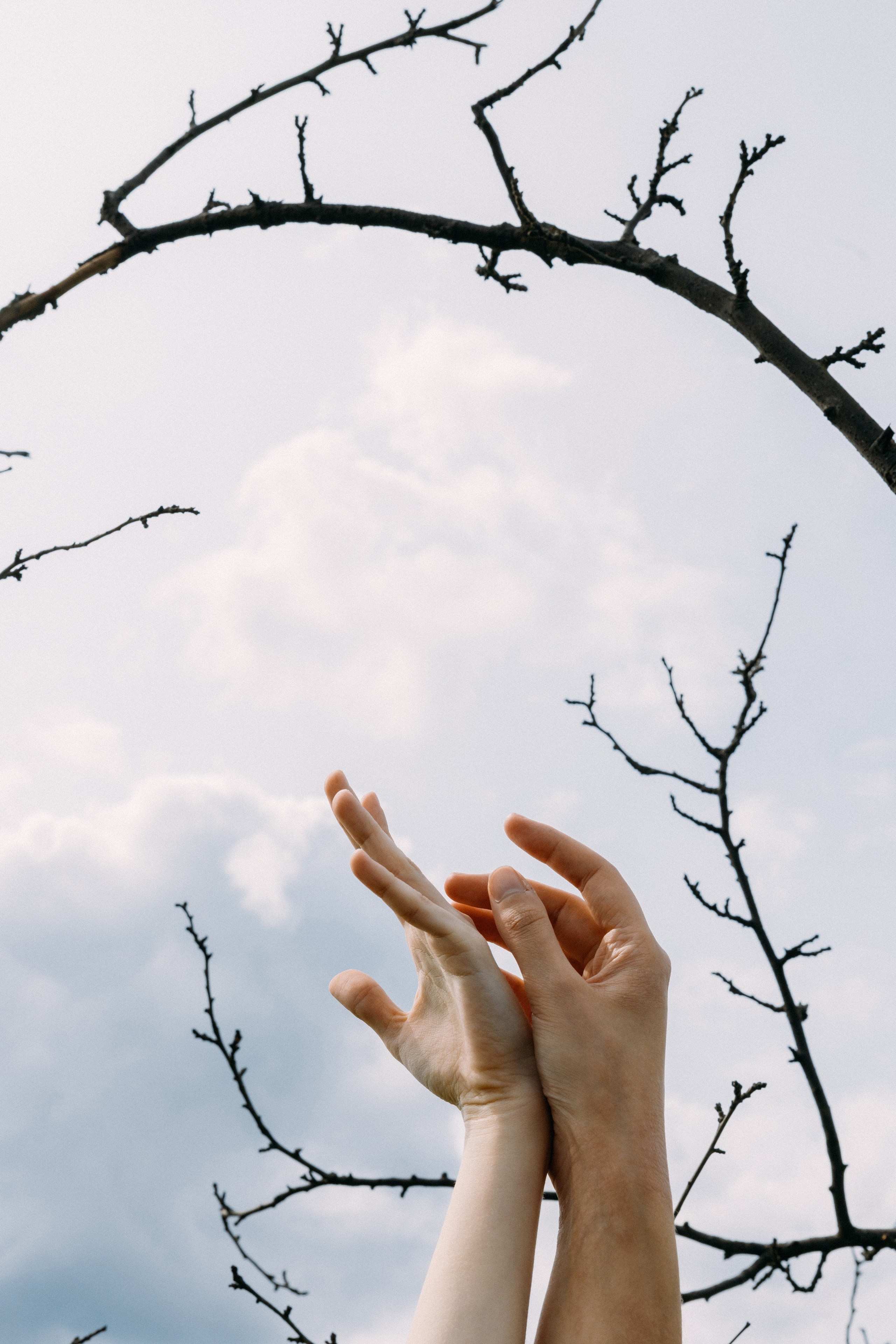 @avtors.agency. Свадебный и репортажный фотограф в Москве Владимир Сергеев | Naysaikolo