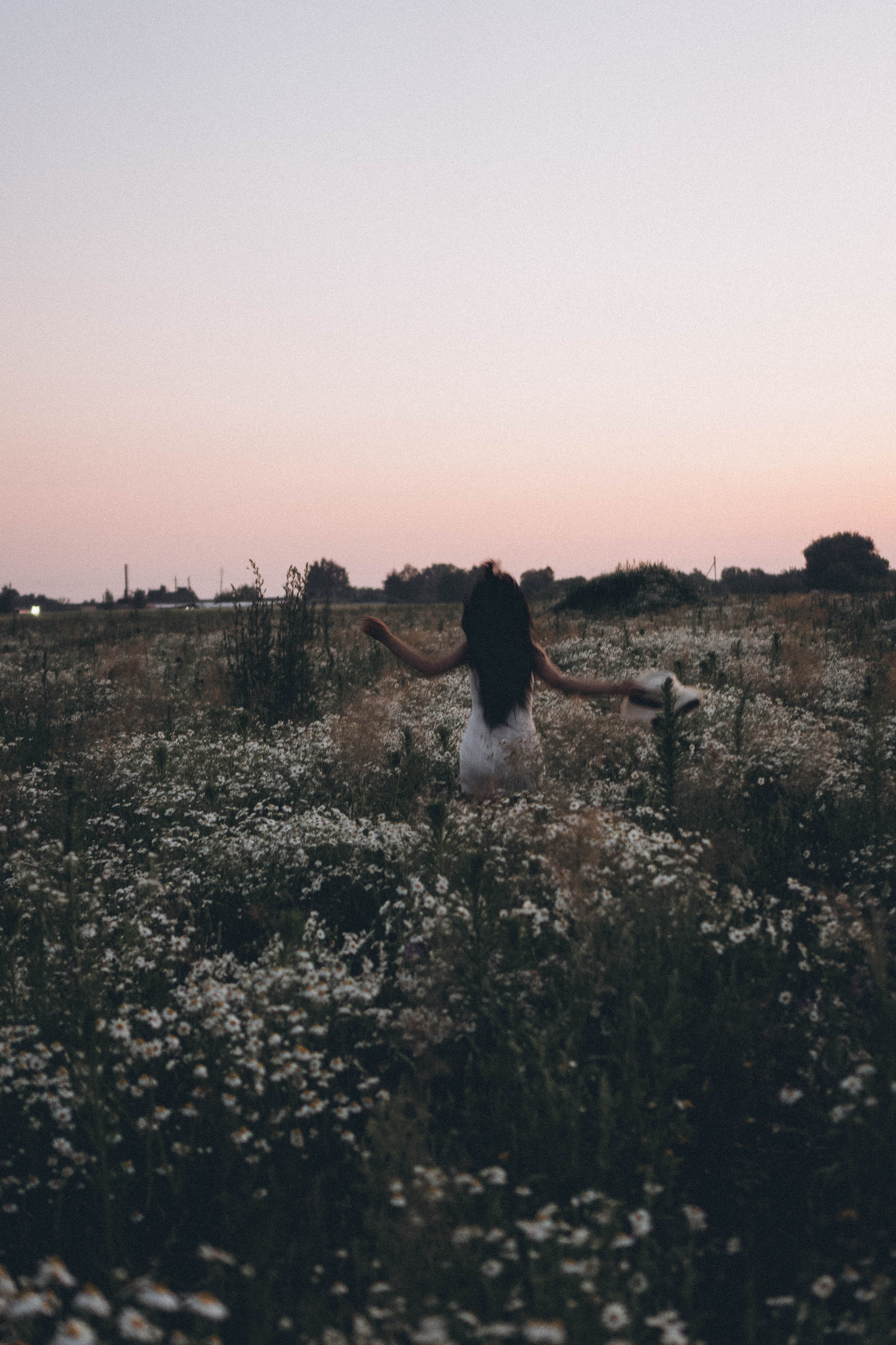 Ромашковое поле. Профессиональный фотограф, Санкт-Петербург — Виктория Богомолова