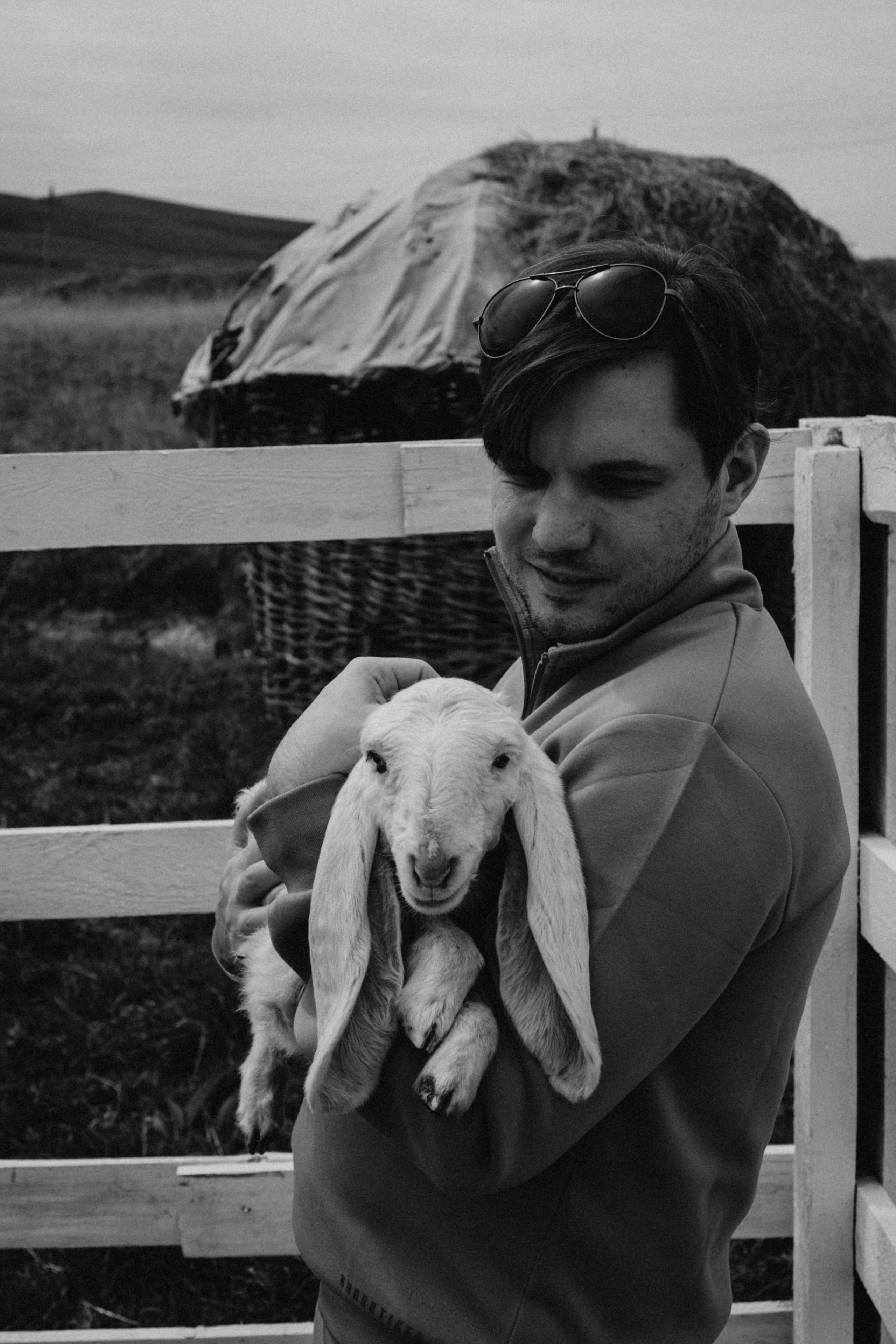 Ферма Альпак. Профессиональный фотограф, Санкт-Петербург — Виктория Богомолова