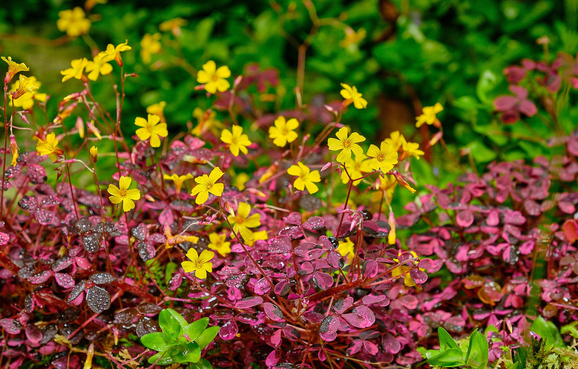 Фотоальбом с разными съёмками