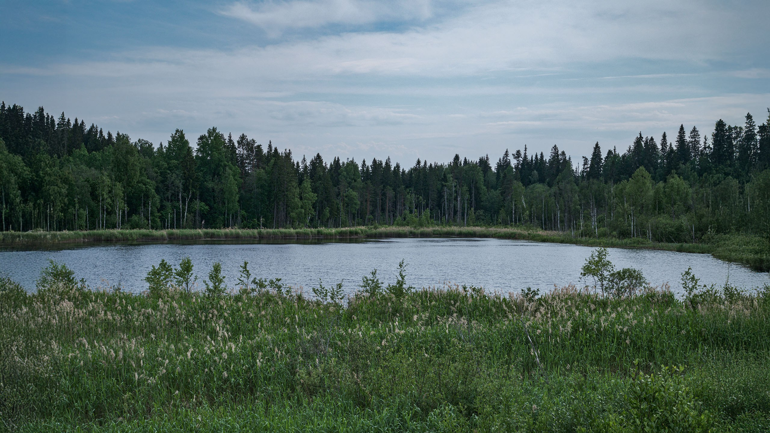 Фотоальбом с разными съёмками