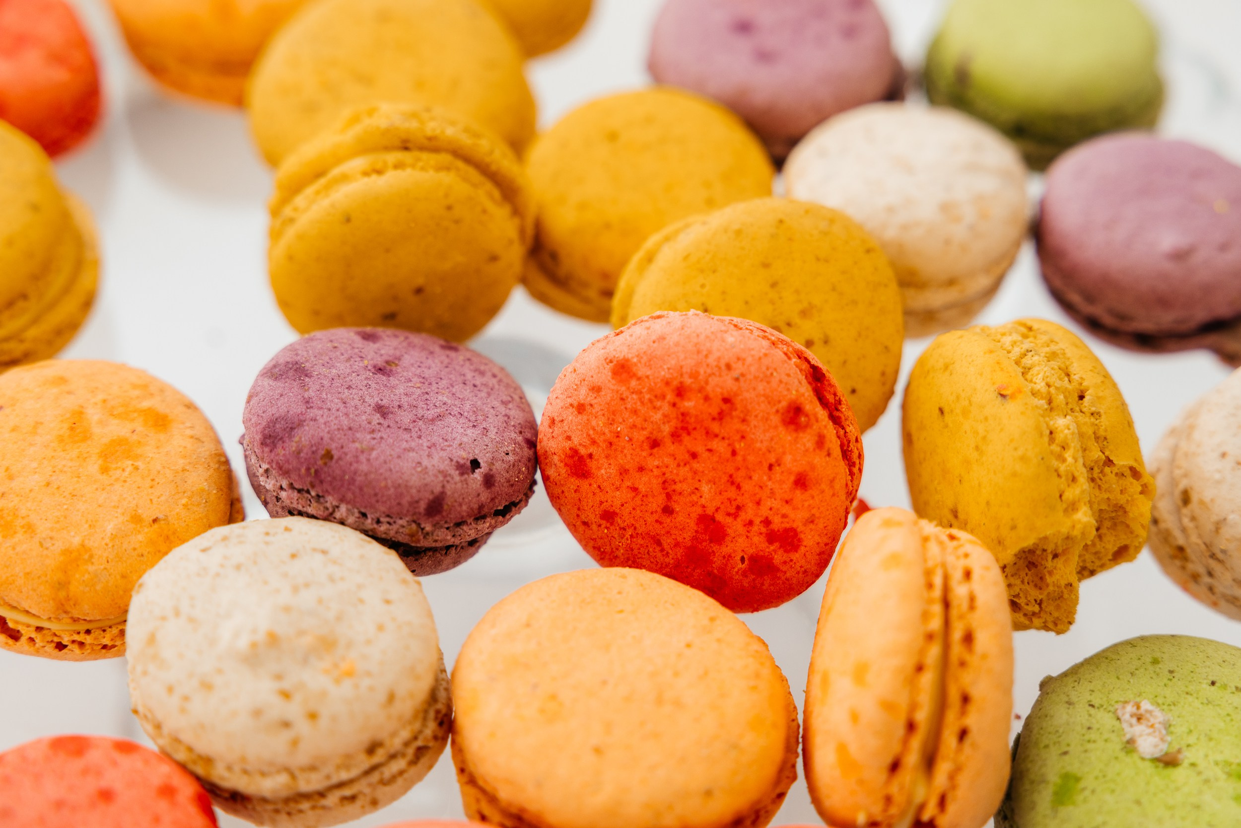 Регаты. Репортажный и свадебный фотограф Катерина Потапова