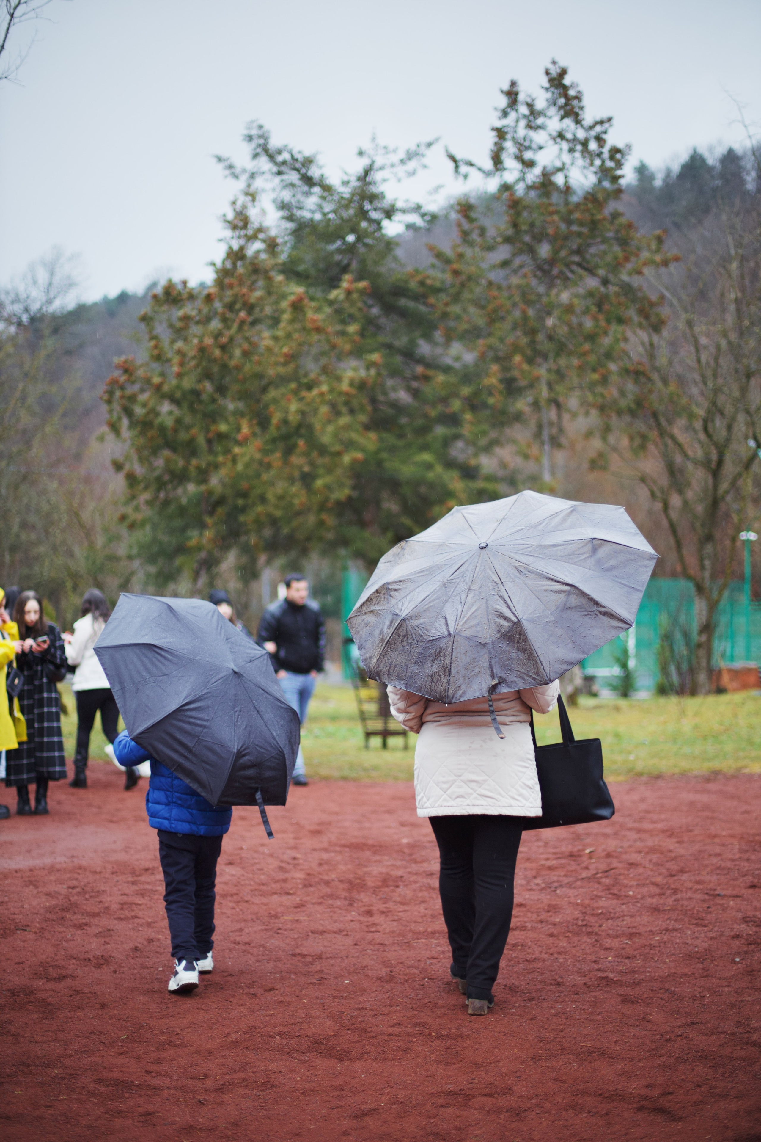 Christmas Tree opening in Dilijan city park. Фотограф в Армении Женя Гилевич