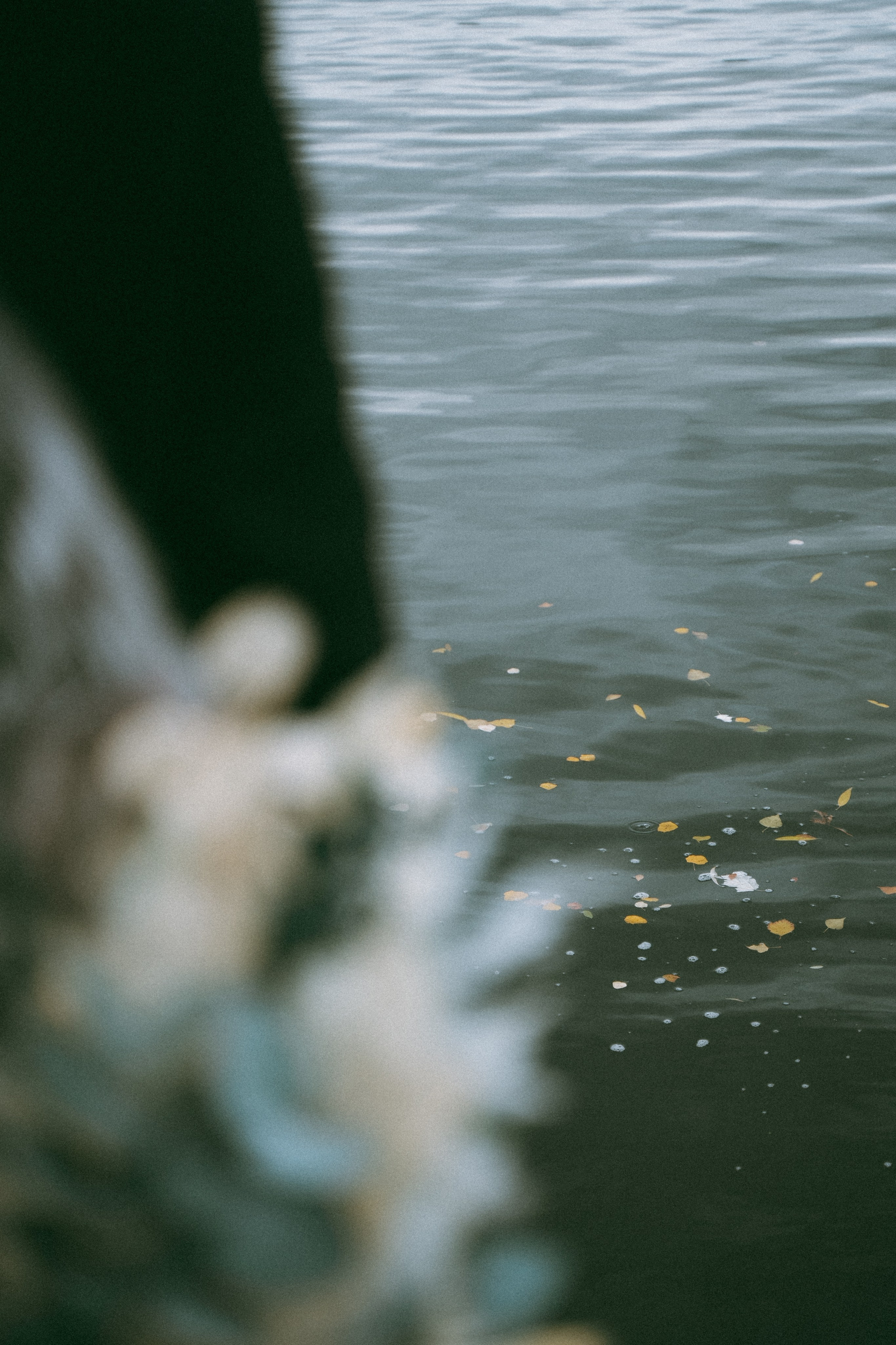 Свадьбы. Фотограф в Воронеже Мария Зайчик