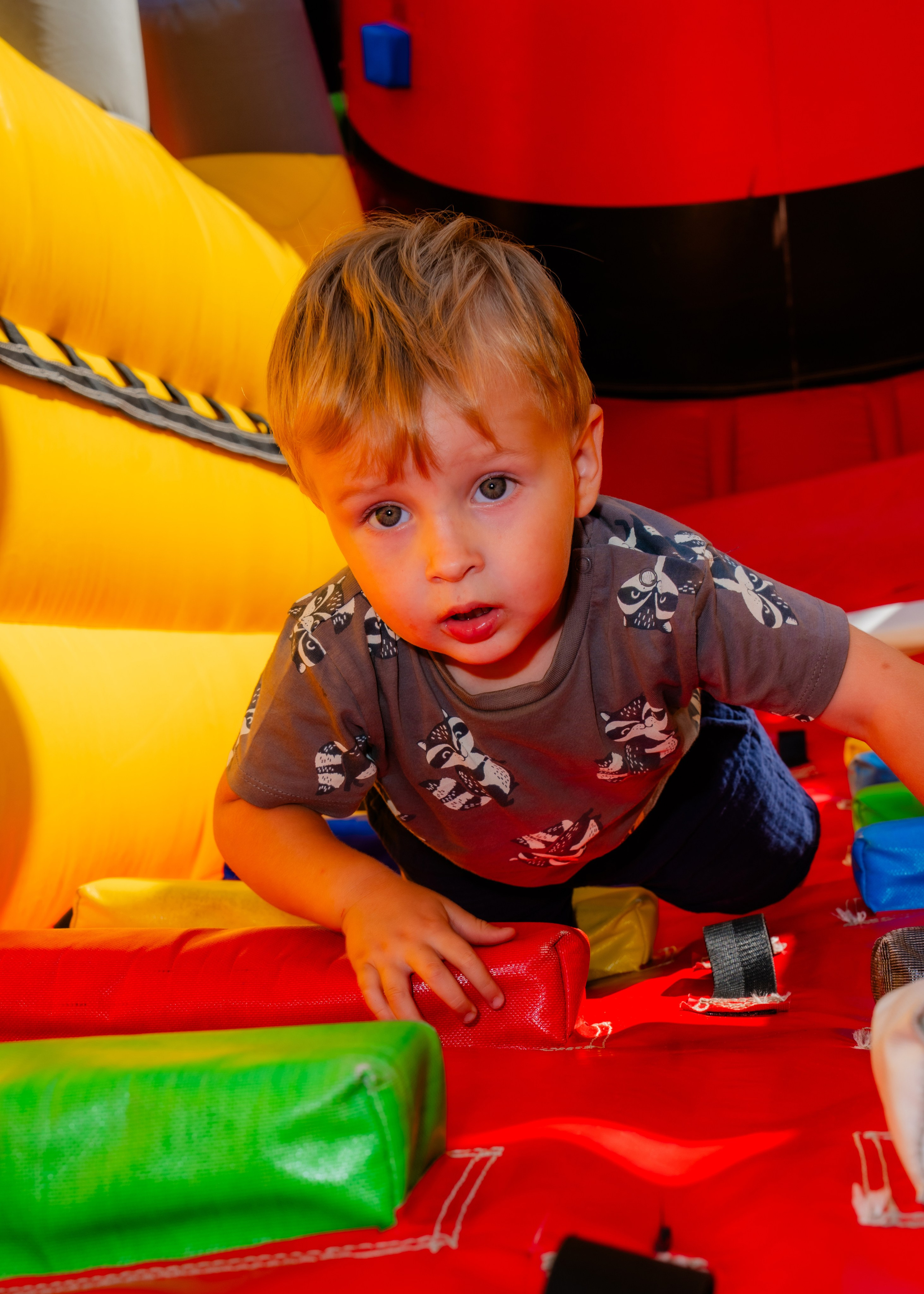 Вилли Вонка. Крамер Юлиана детский и семейный фотограф