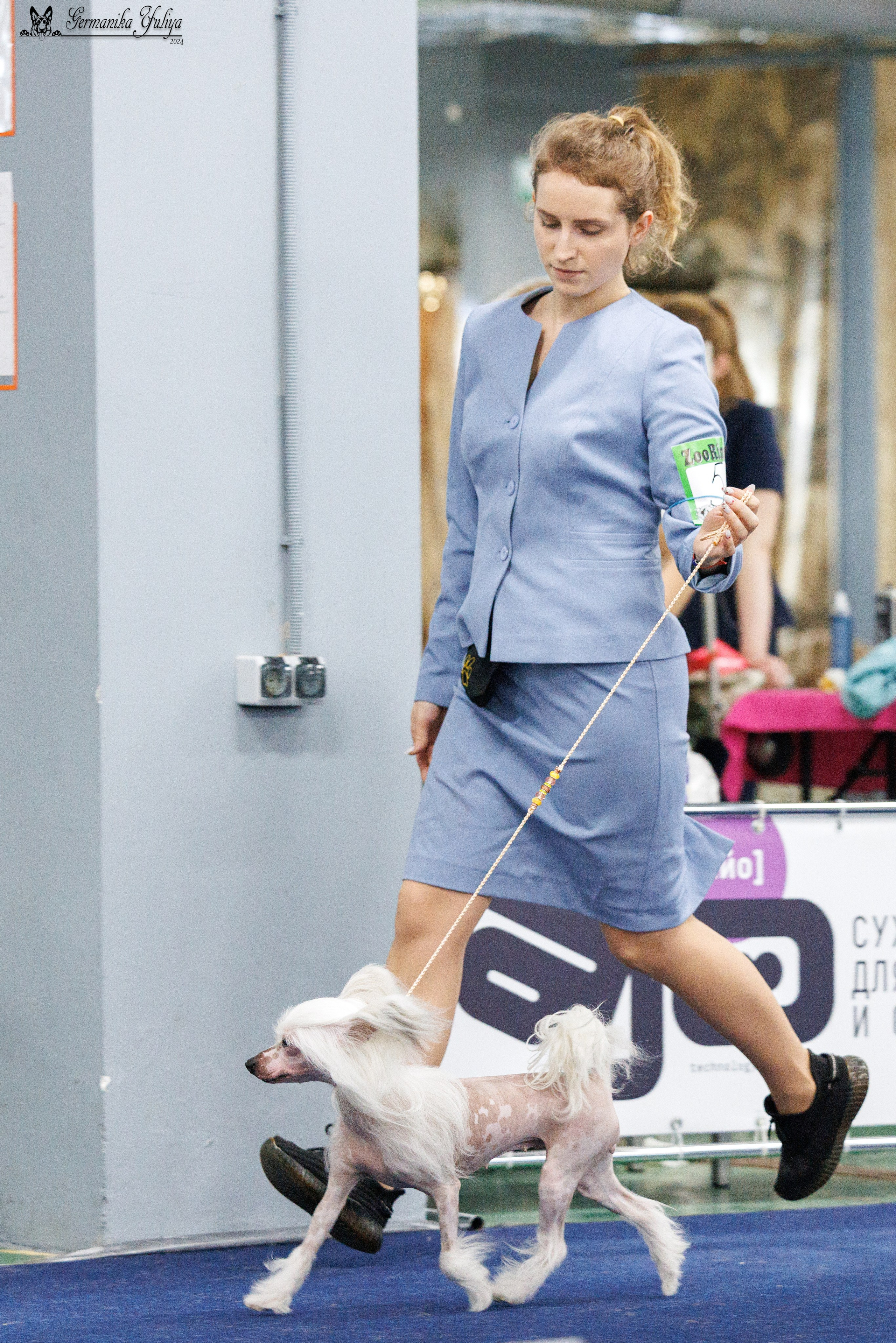 Сфера 28.01. и 4.02.2024. Фотограф-анималист Юлия Германика