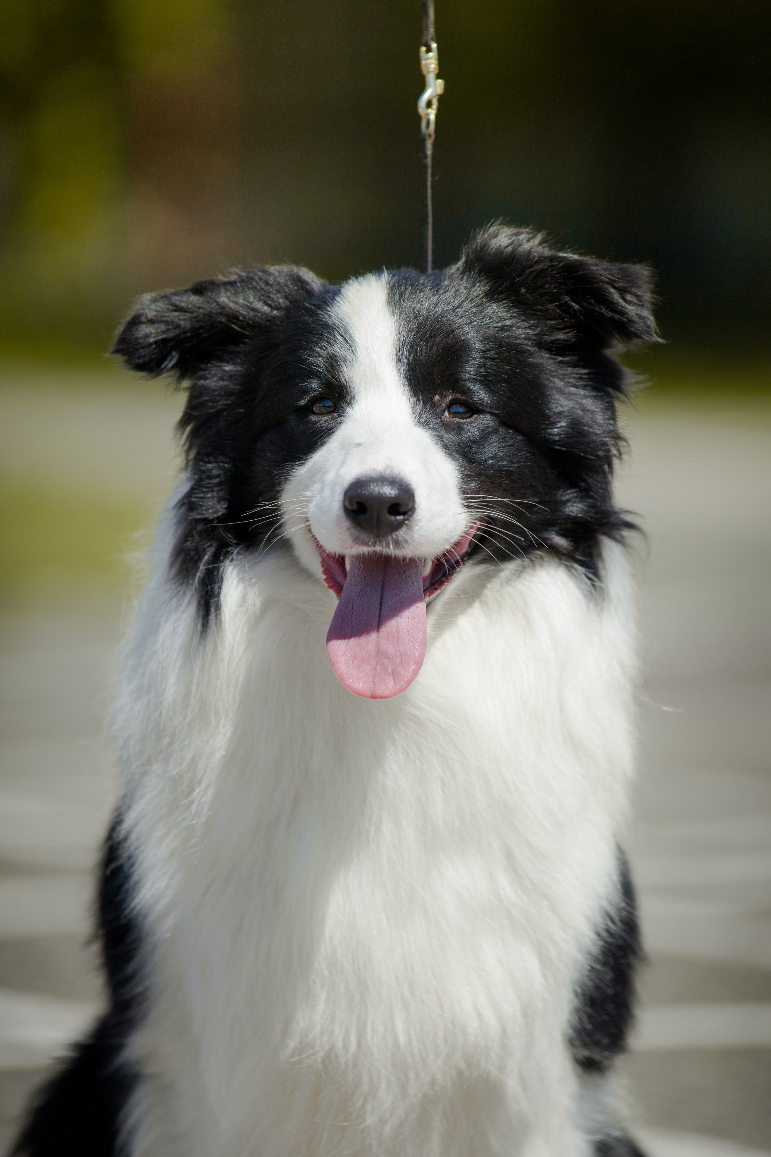 Зеленое в Оренбурге 19. О нас