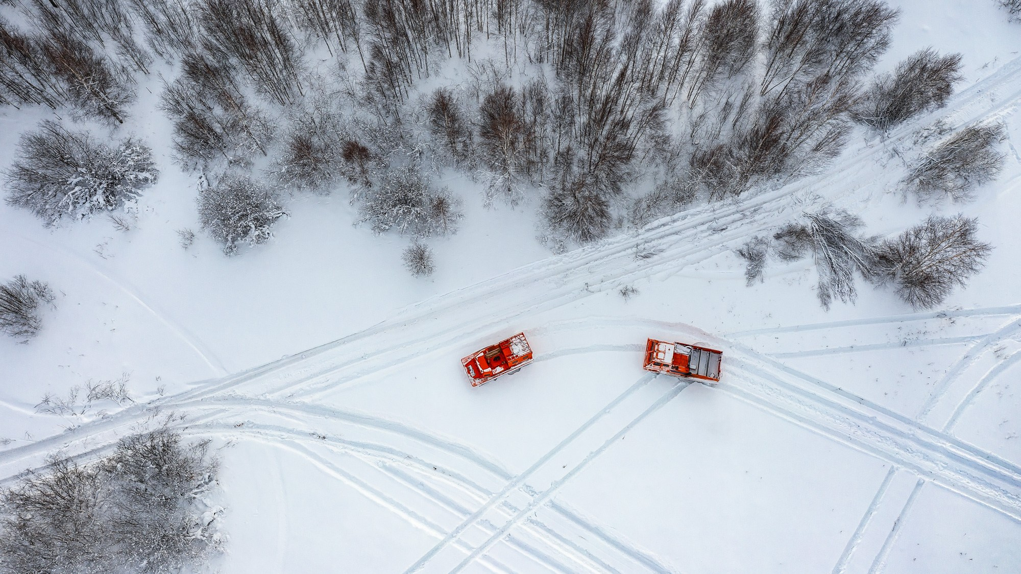 Зеленая сейсмика. Главная