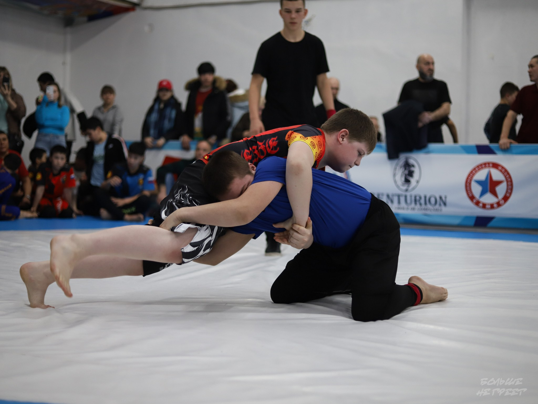 GORILLA PRIDE CUP. Больше не греет