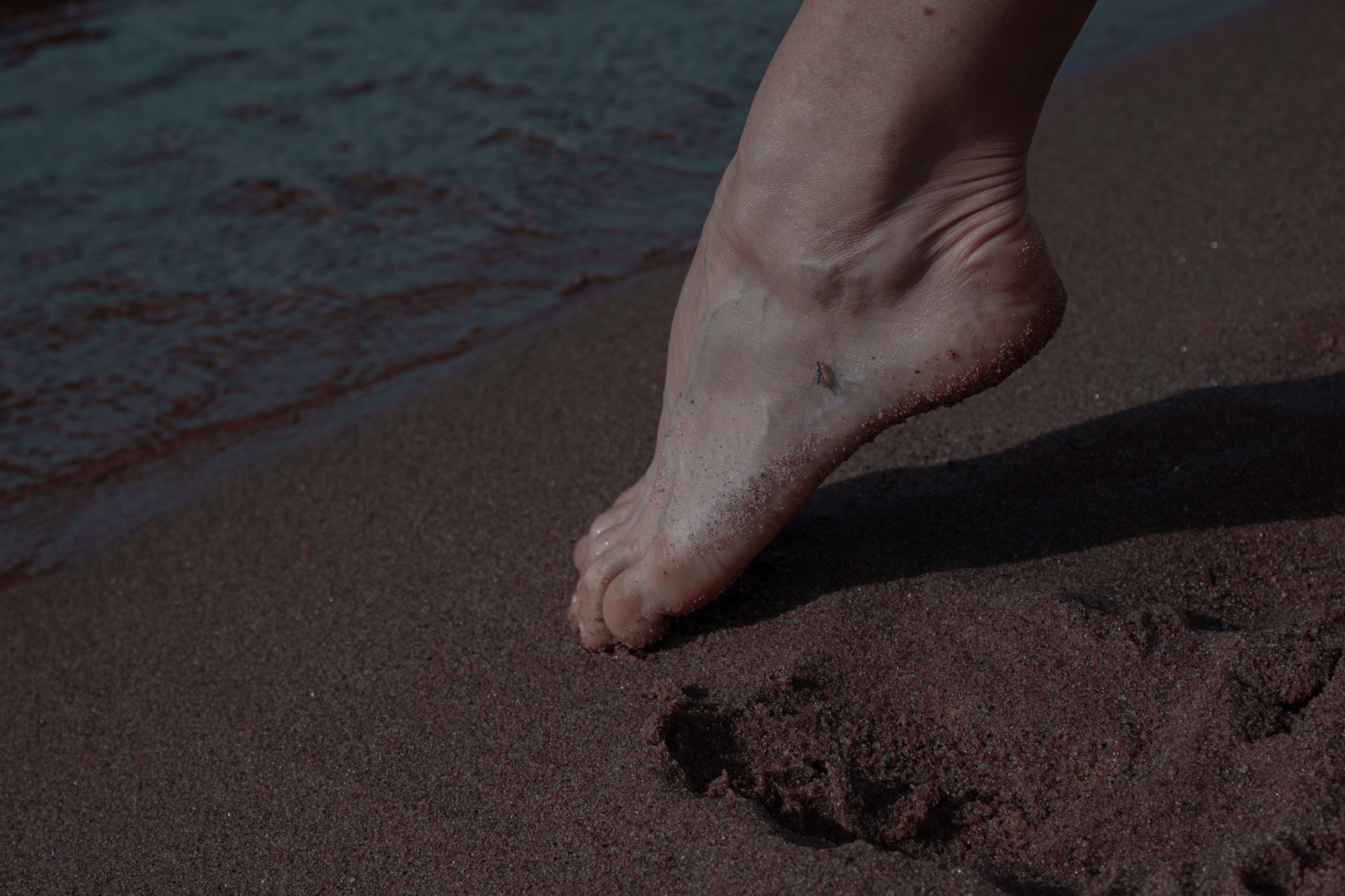 Евгения | Финский залив. Портретный фотограф СПб — Ира Волкова