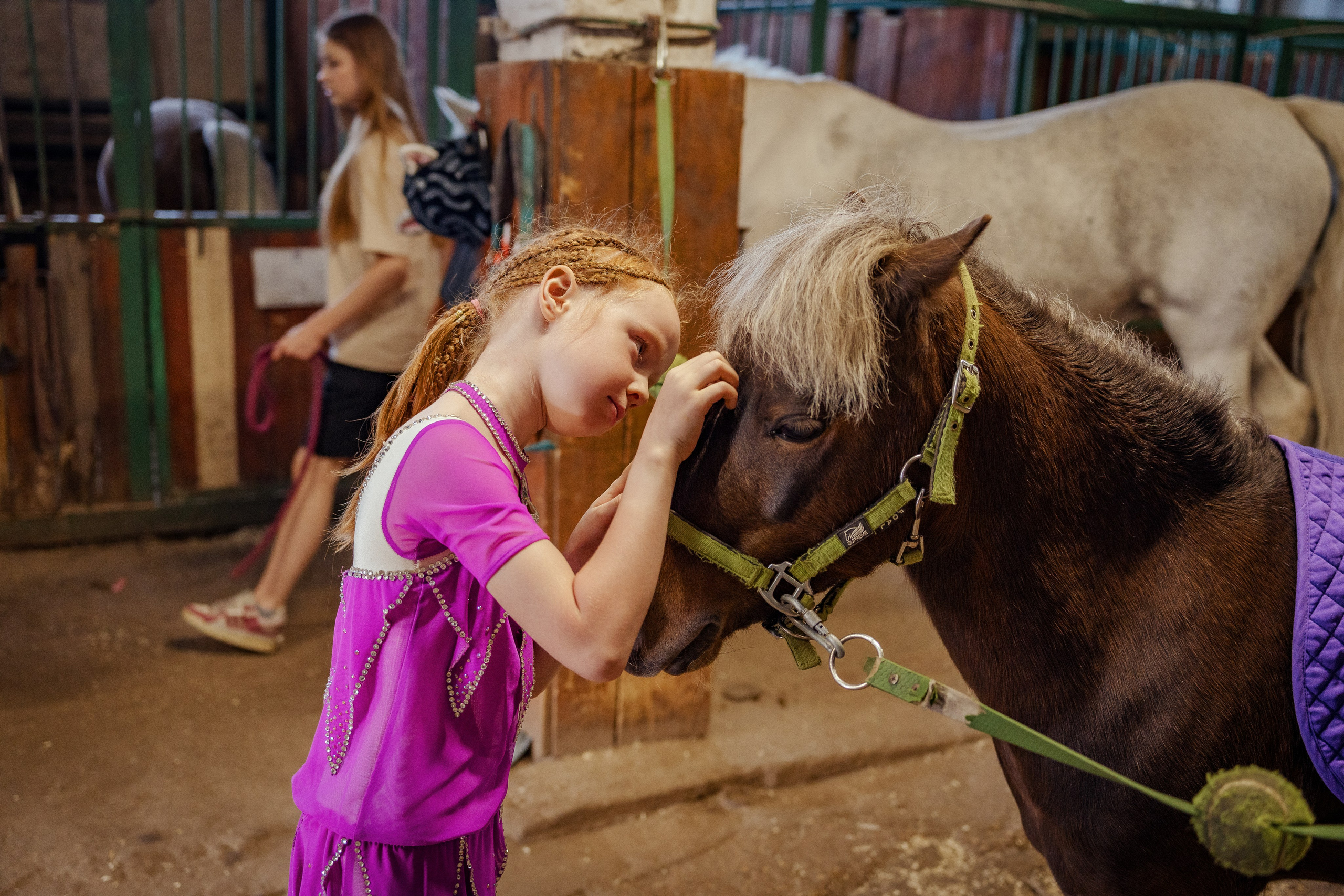 Конный клуб Горки. Портретный и семейный фотограф в Москве/Видное