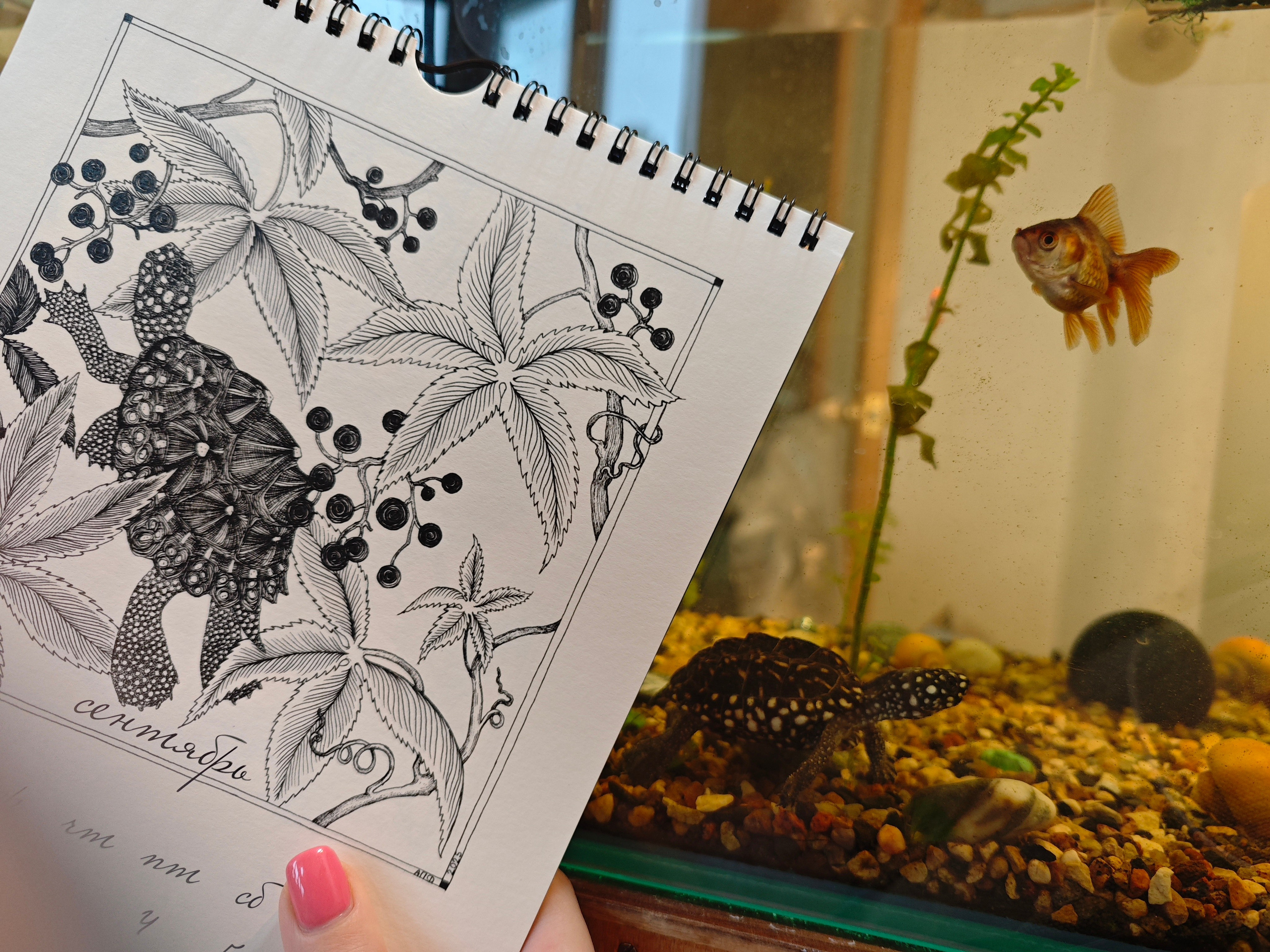 Календарь 2026. Художник Перепечėнова-Феофанова Анна